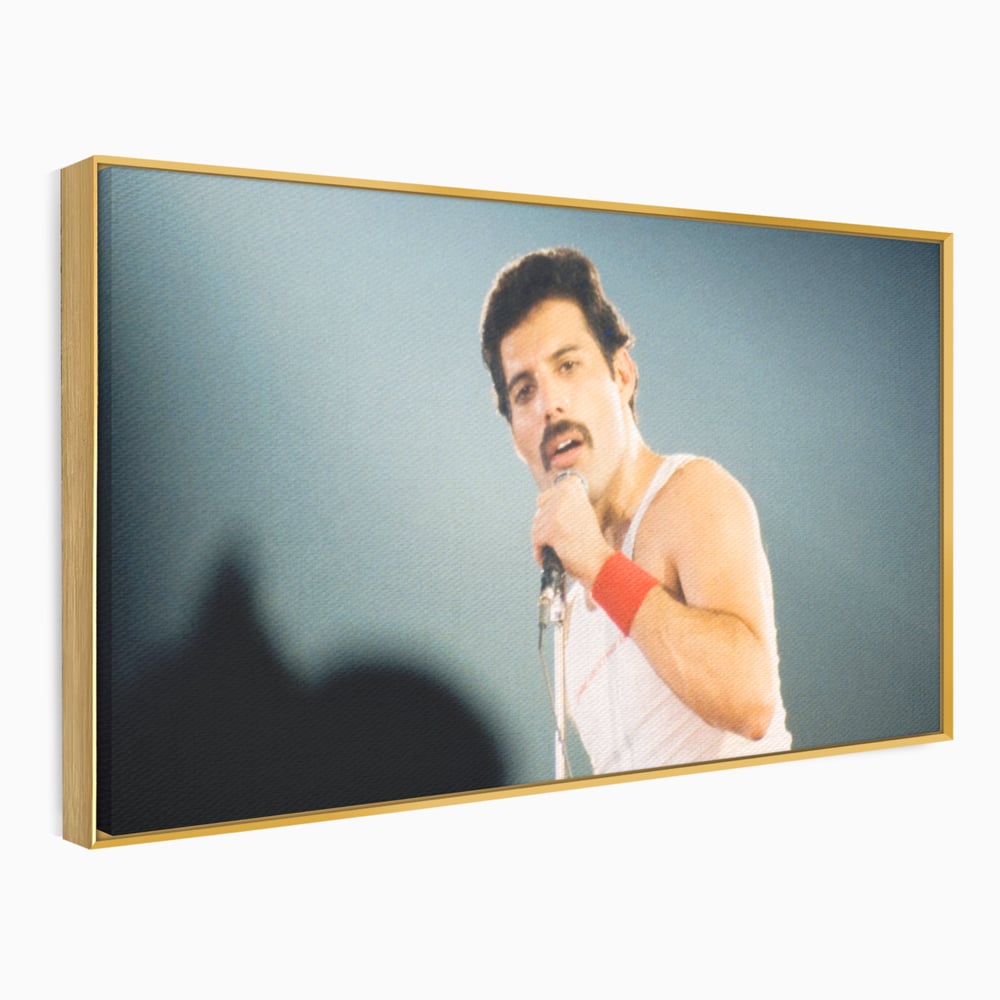 Tablou canvas cu tablou canvas cu freddie mercury, in rama de aluminiu auriu