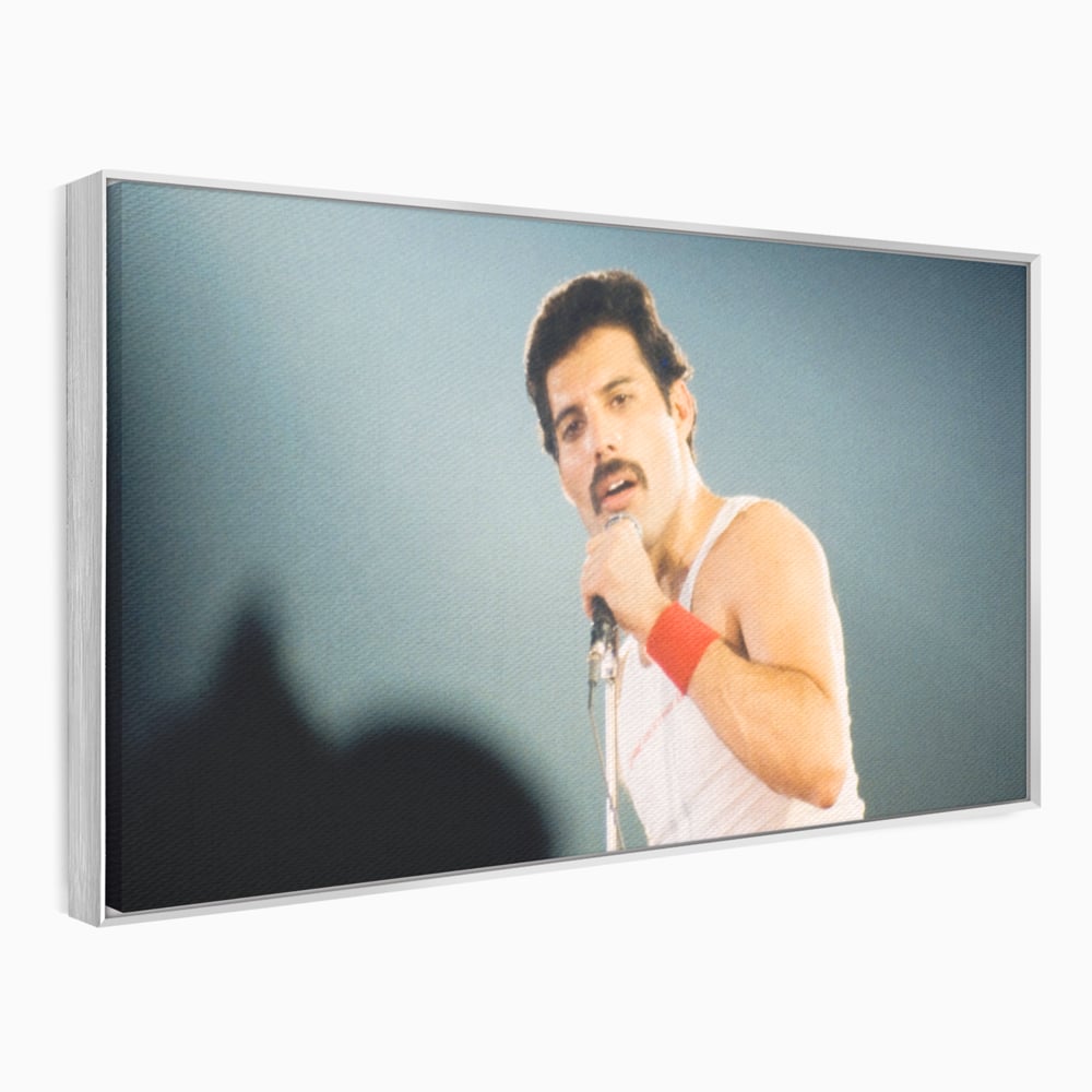 Tablou canvas cu tablou canvas cu freddie mercury, in rama de aluminiu argintiu