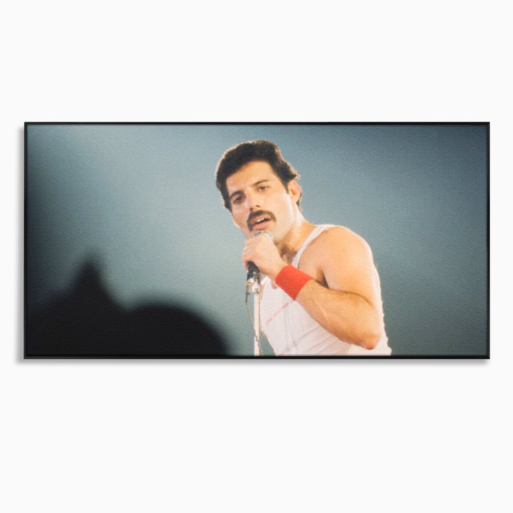 Tablou canvas cu tablou canvas cu freddie mercury, in rama de aluminiu negru