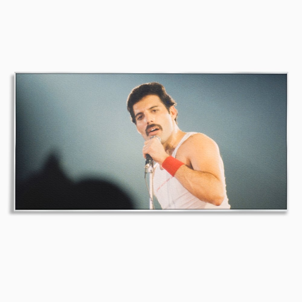 Tablou canvas cu tablou canvas cu freddie mercury, in rama de aluminiu argintiu