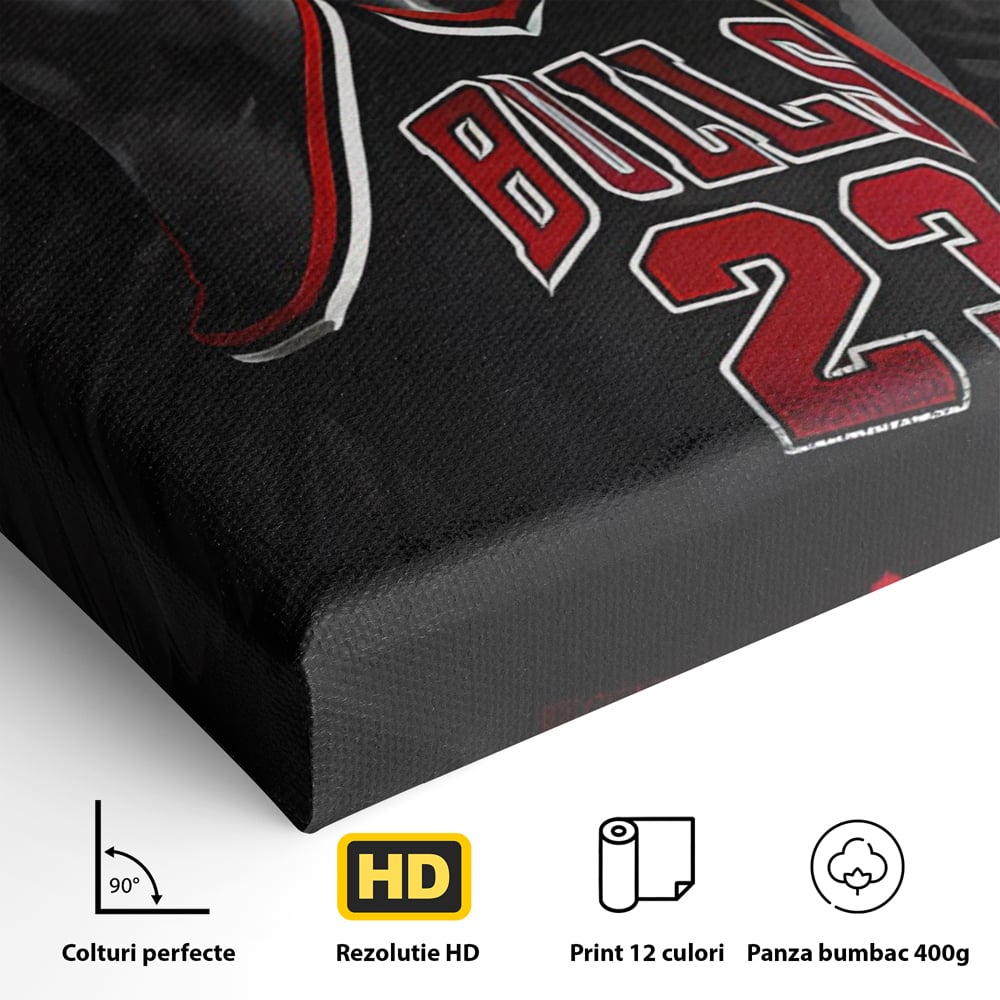 Detaliu al suprafetei: tablou canvas cu michael jordan in actiune, fara rama, pe sasiu de lemn