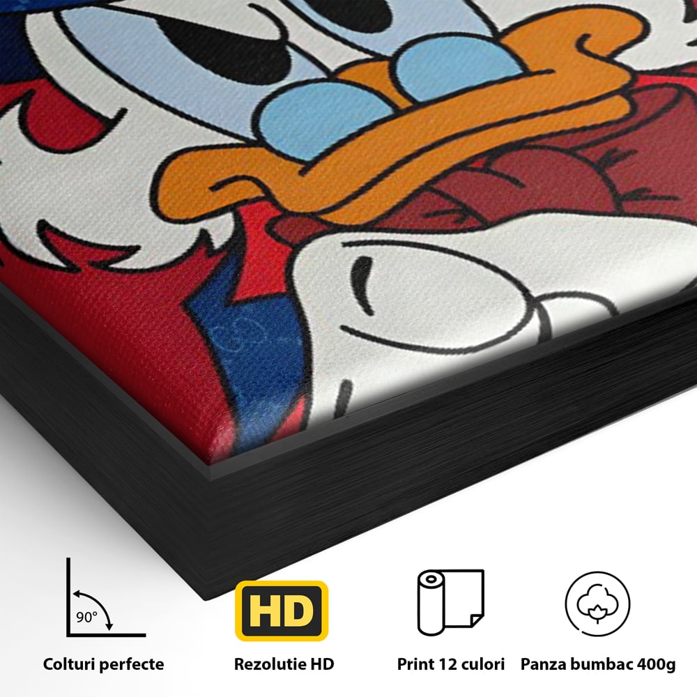 Detaliu al suprafetei: ilustratie cu personajul scrooge mcduck, in rama de aluminiu negru