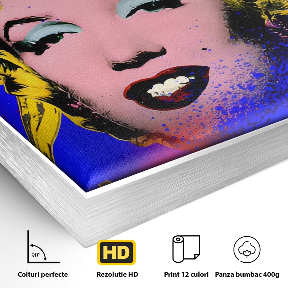 Detaliu al suprafetei: tablou canvas cu portretul stilizat al lui marilyn monroe, in rama de aluminiu argintiu