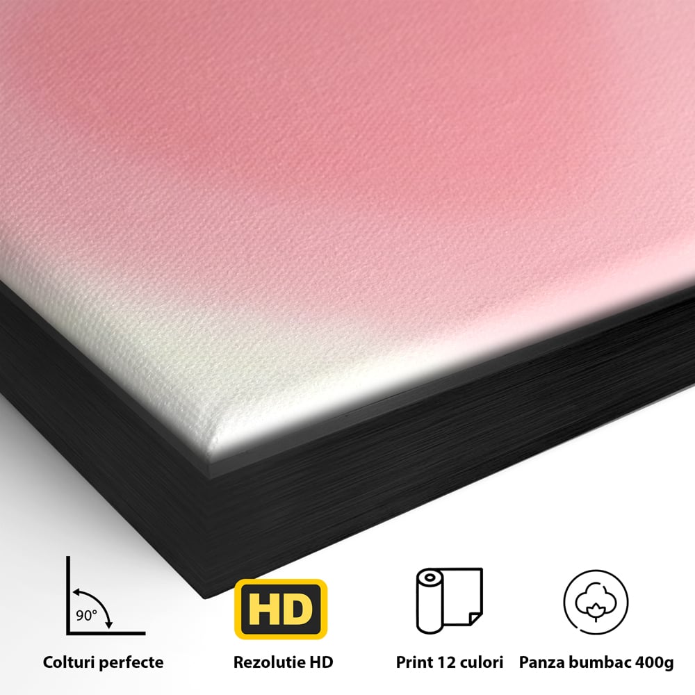 Detaliu al suprafetei: tablou vertical cu inima roz blurata, in rama de aluminiu negru
