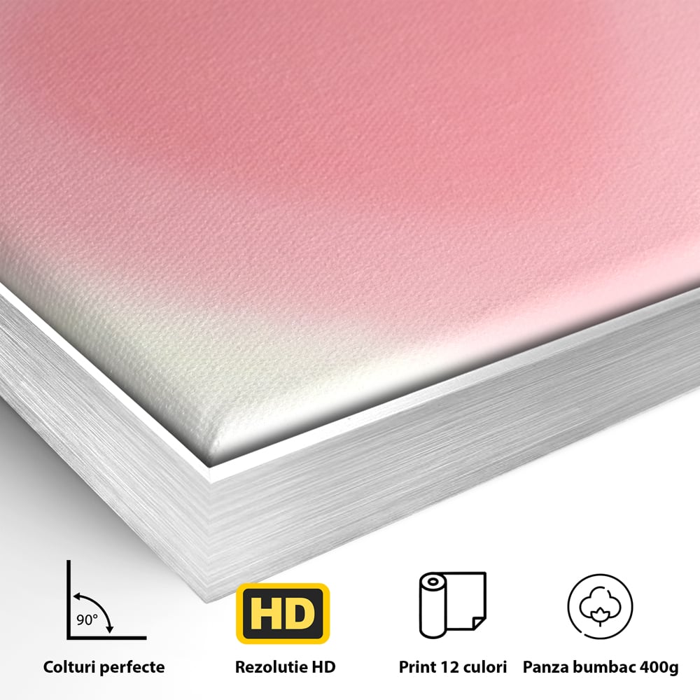 Detaliu al suprafetei: tablou vertical cu inima roz blurata, in rama de aluminiu argintiu
