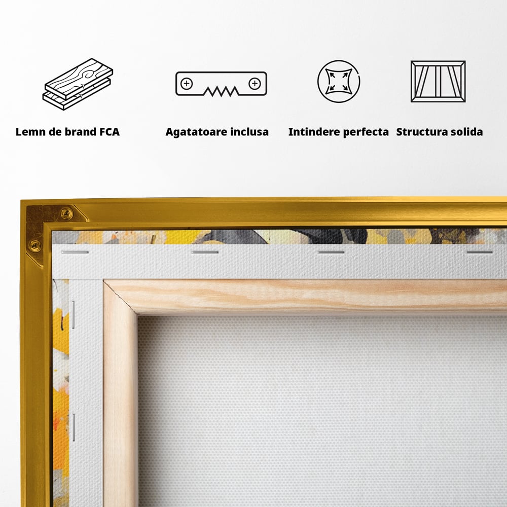 Spatele produsului, cu sasiu din lemn, capse metalice si agatatoare