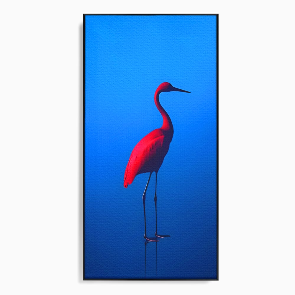 Tablou canvas cu tablou canvas cu pasare flamingo rosie, in rama de aluminiu negru