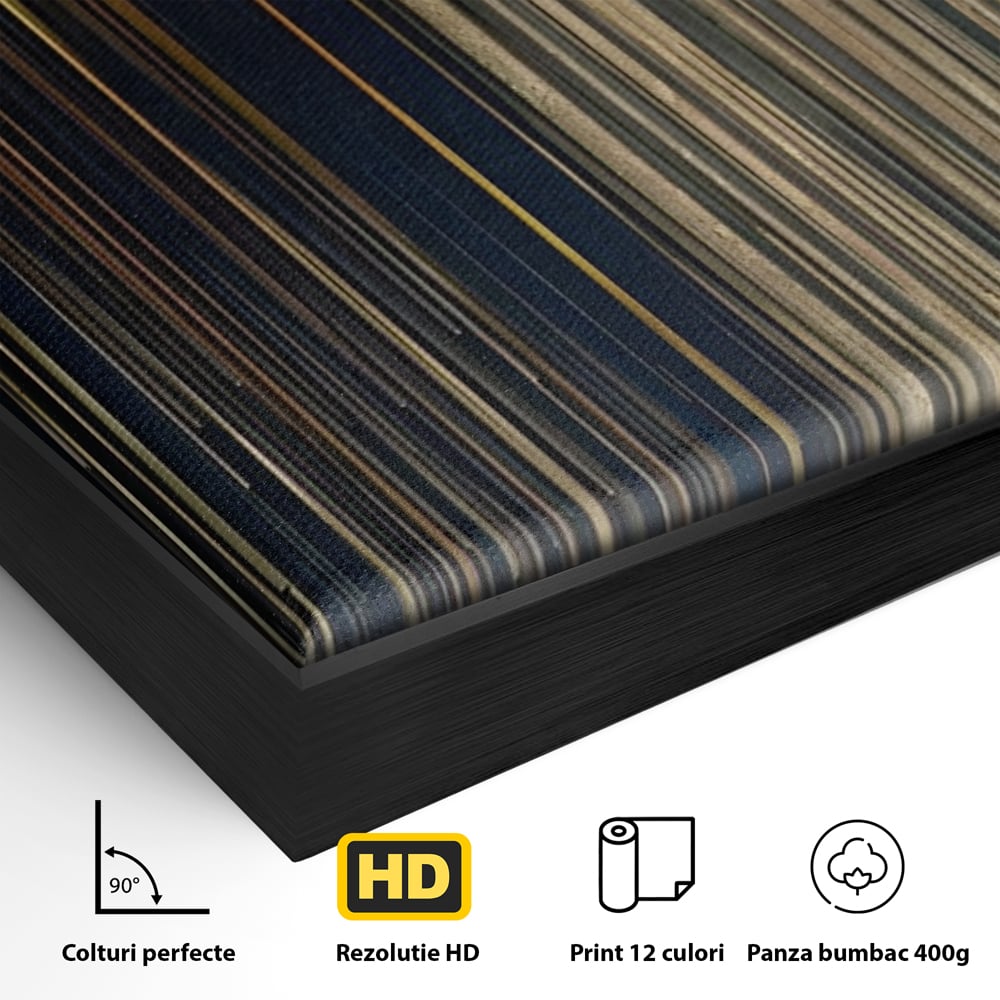 Detaliu al suprafetei: tablou abstract cu dungi verticale aurii si negre, in rama de aluminiu negru