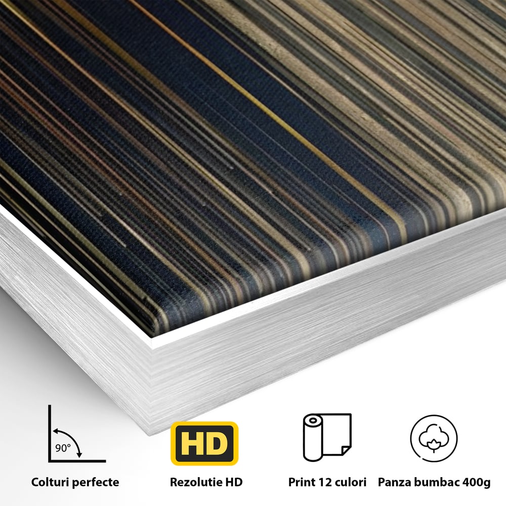 Detaliu al suprafetei: tablou abstract cu dungi verticale aurii si negre, in rama de aluminiu argintiu