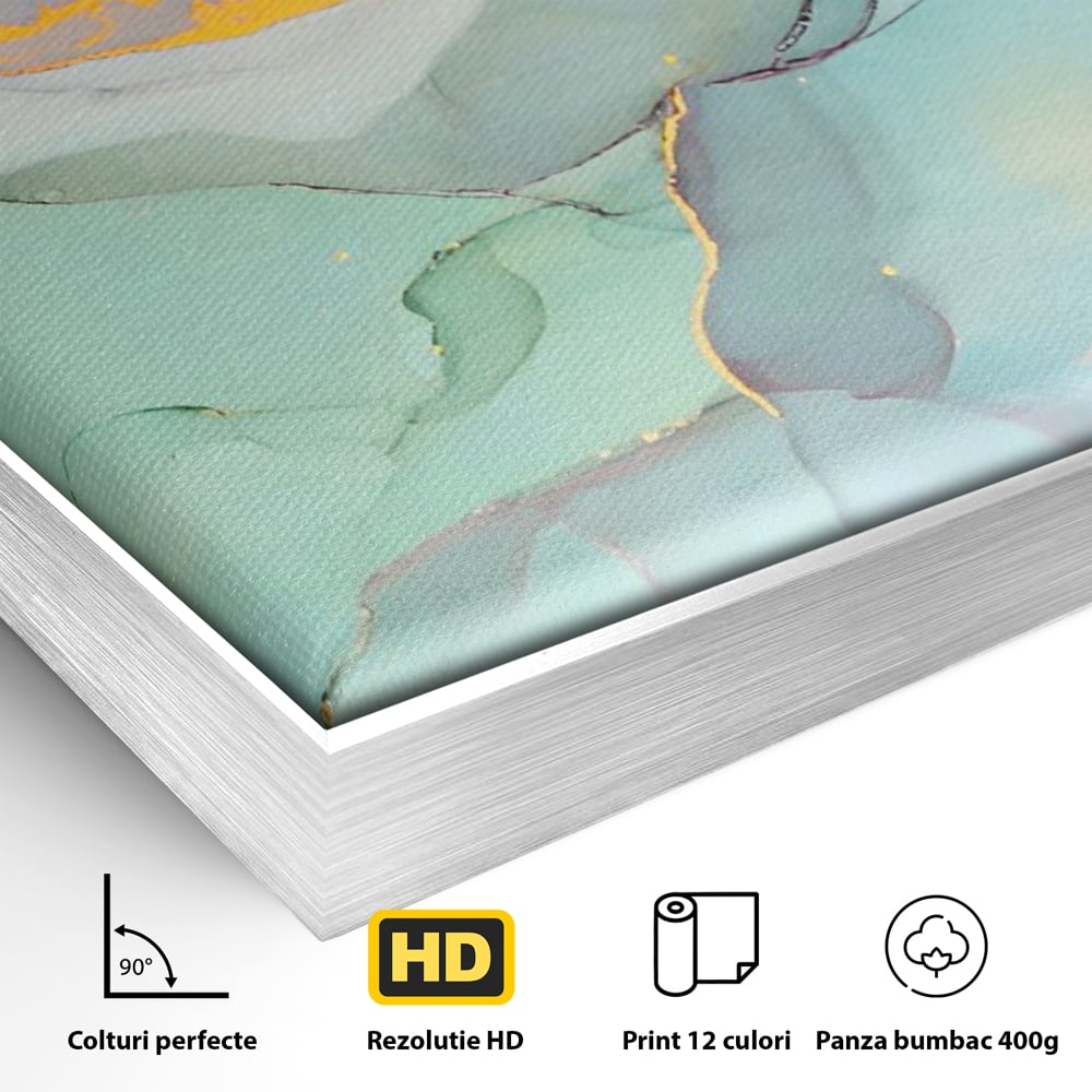 Detaliu al suprafetei: pictura abstracta cu efect de marmura colorata, in rama de aluminiu argintiu