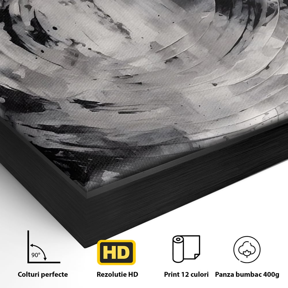 Detaliu al suprafetei: tablou canvas cu cerc abstract, in rama de aluminiu negru
