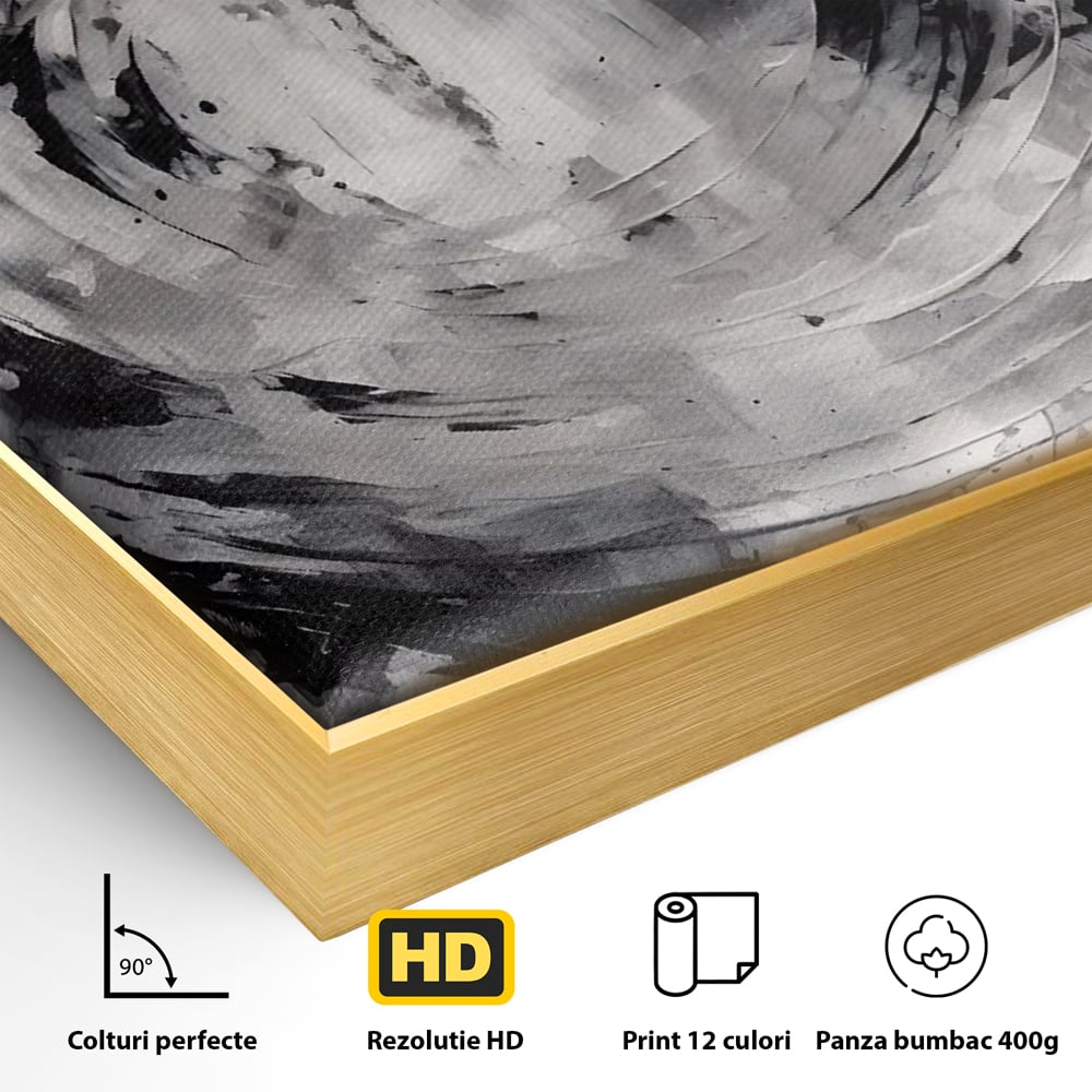 Detaliu al suprafetei: tablou canvas cu cerc abstract, in rama de aluminiu auriu