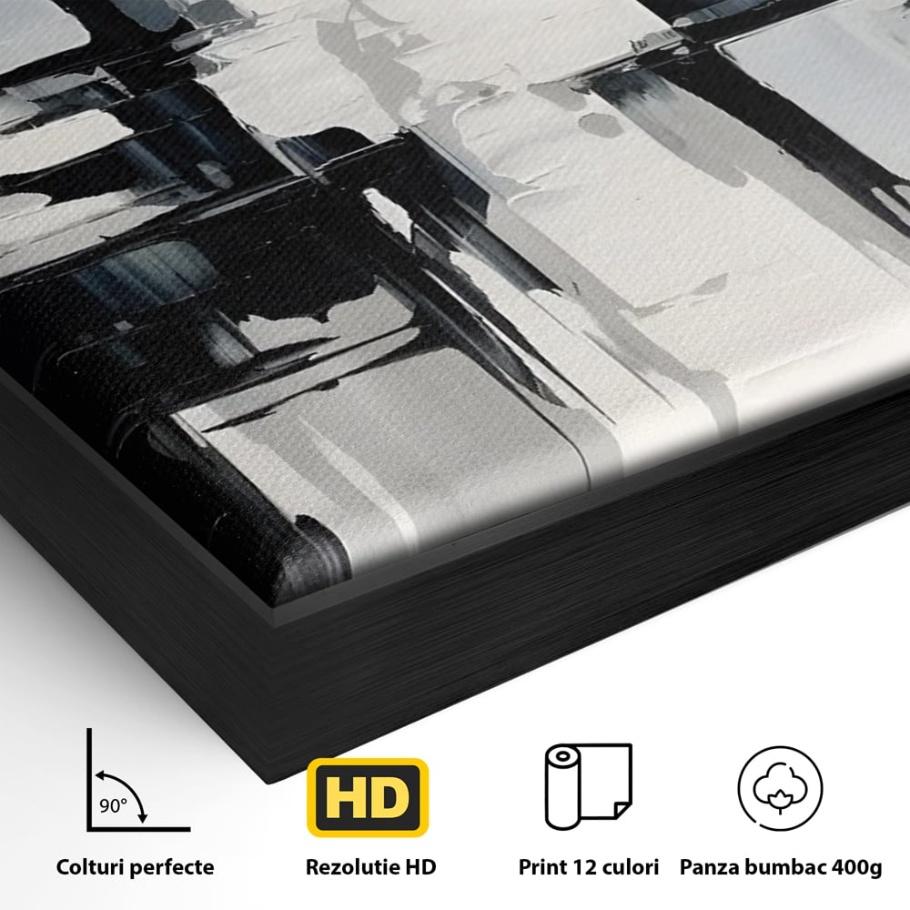 Detaliu al suprafetei: pictura abstracta alb-negru, in rama de aluminiu negru