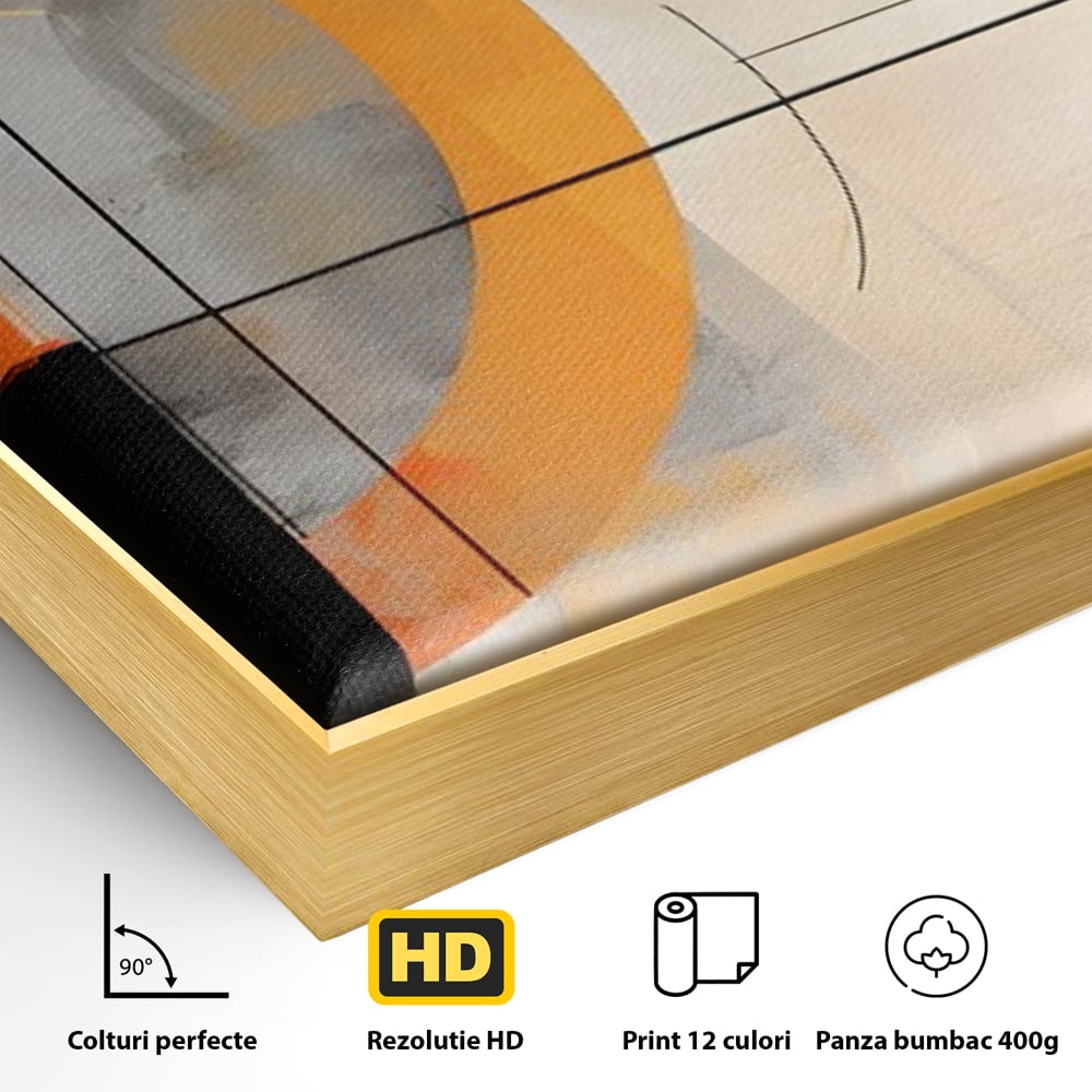 Detaliu al suprafetei: pictura abstracta cu cerc galben, in rama de aluminiu auriu