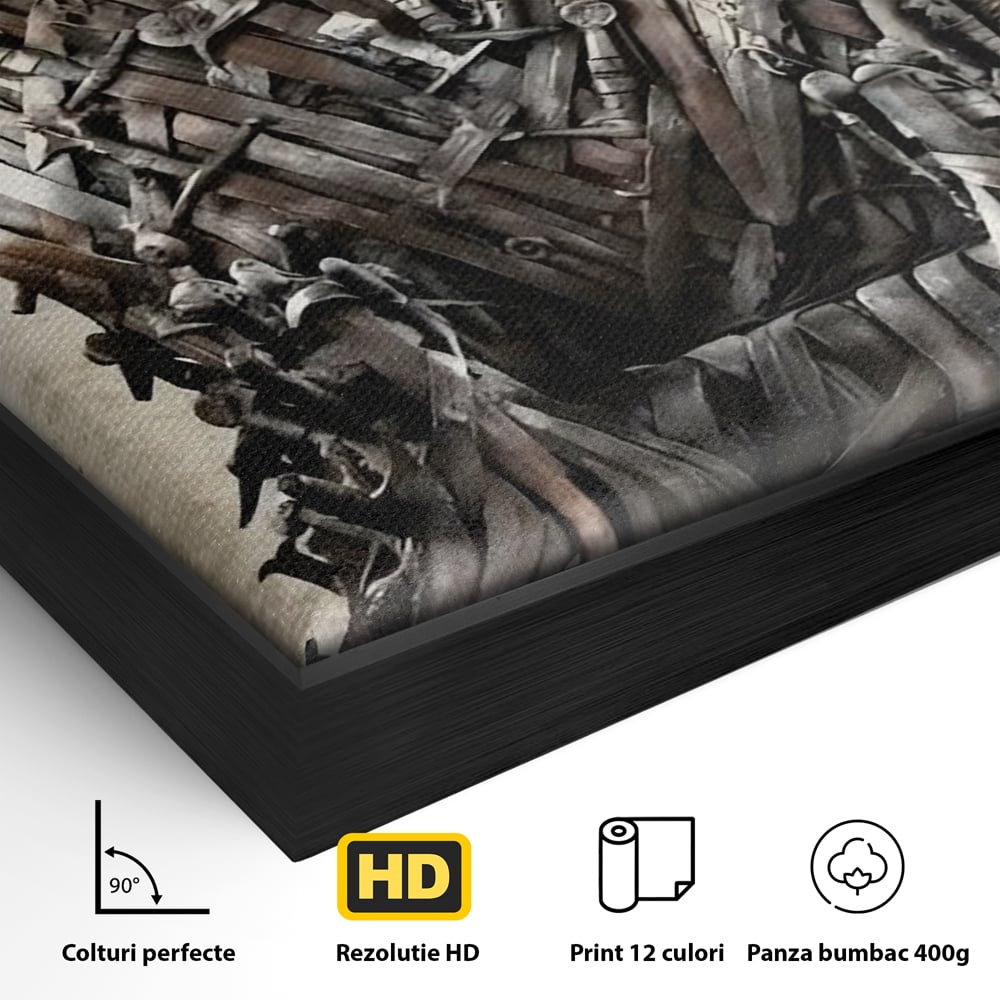 Detaliu al suprafetei: tablou canvas cu tronul din sabii, in rama de aluminiu negru
