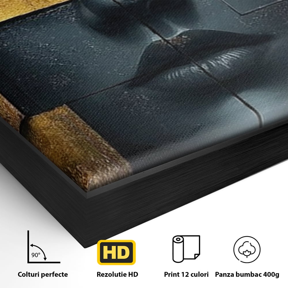 Detaliu al suprafetei: tablou canvas portret feminin abstract, in rama de aluminiu negru