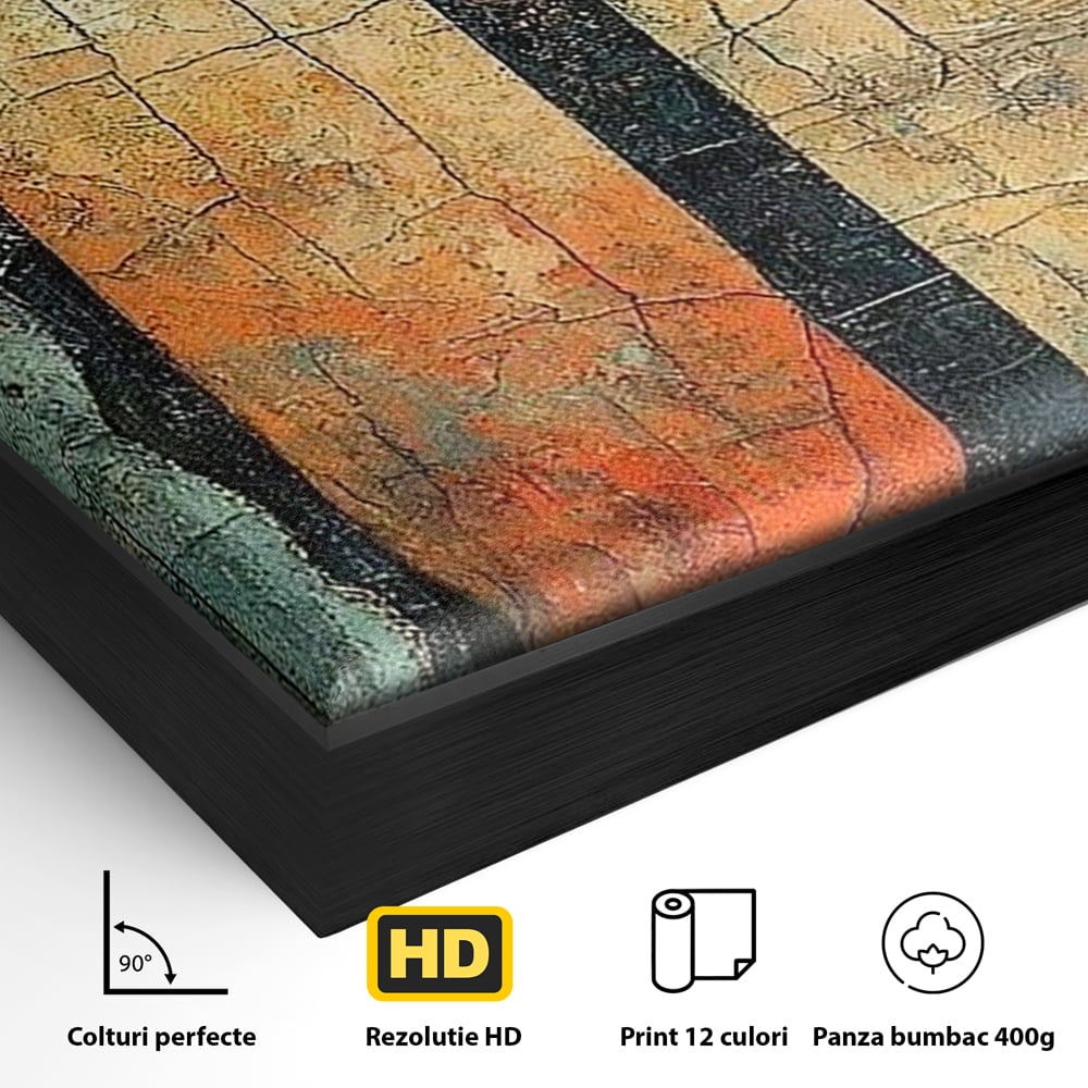Detaliu al suprafetei: tablou canvas cu ochi printre gratii, in rama de aluminiu negru
