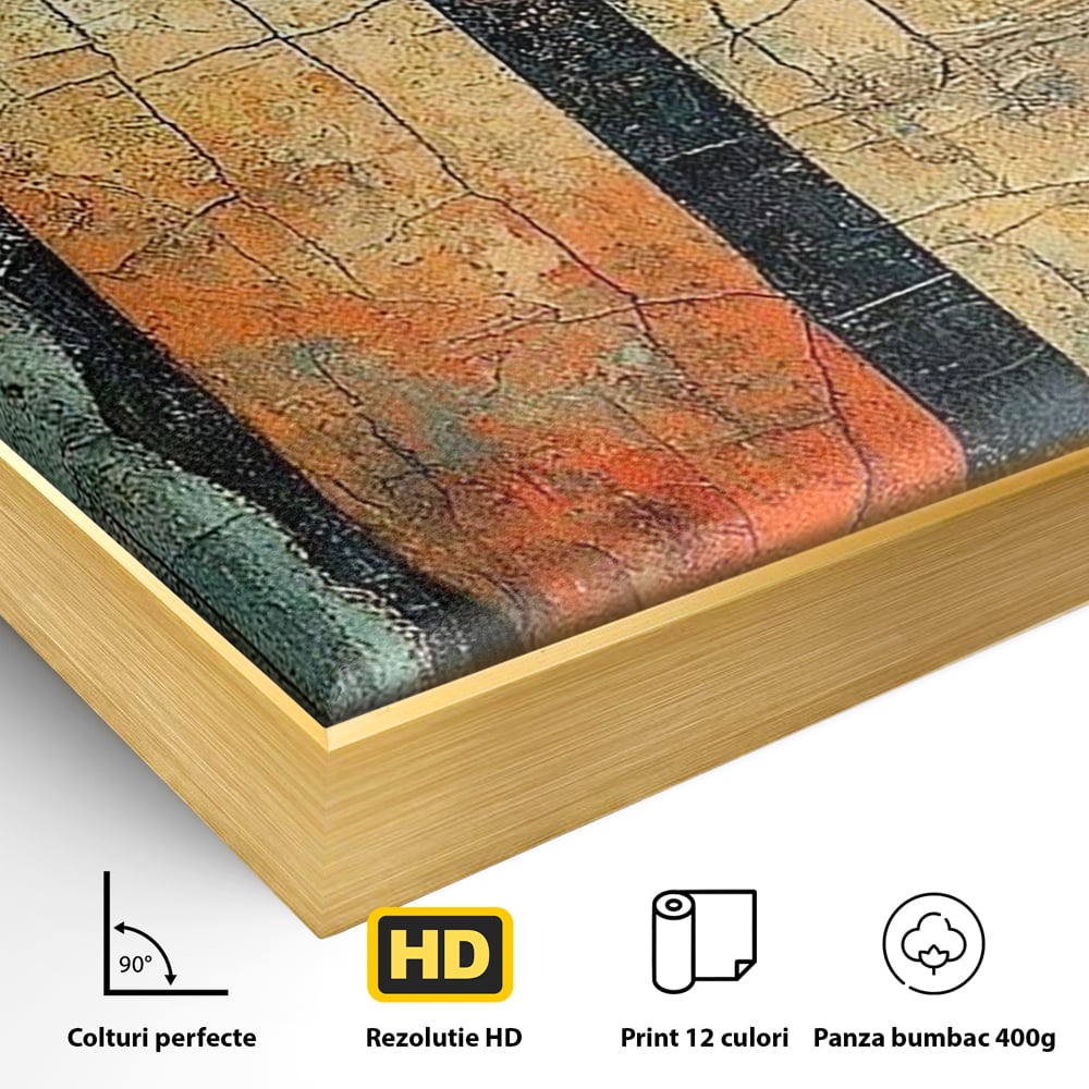 Detaliu al suprafetei: tablou canvas cu ochi printre gratii, in rama de aluminiu auriu