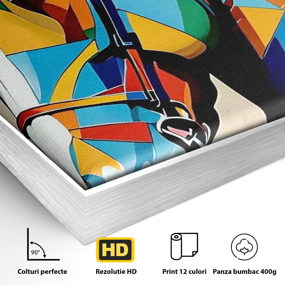 Detaliu al suprafetei: tablou canvas cu armasar geometric colorat, in rama de aluminiu argintiu