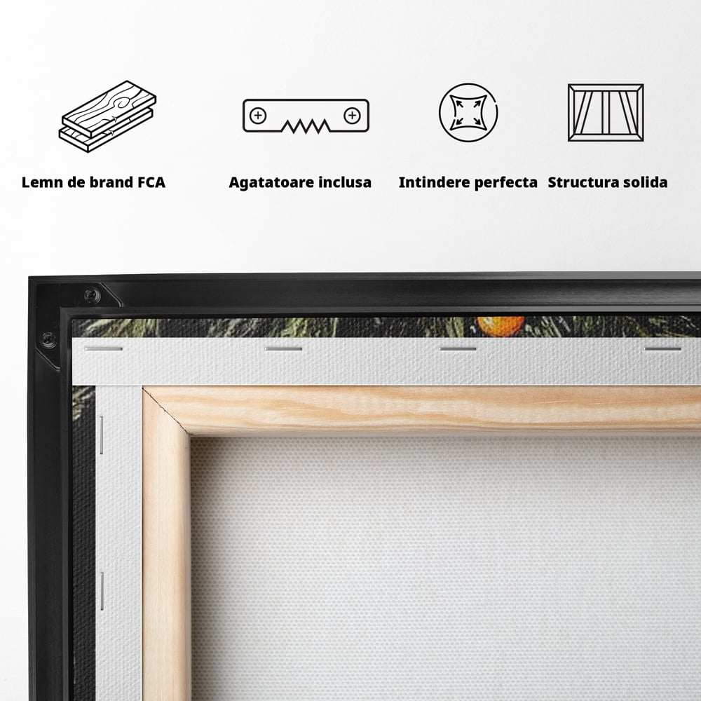 Spatele produsului, cu sasiu din lemn, capse metalice si agatatoare
