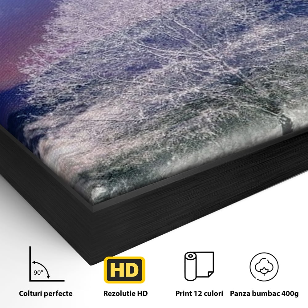 Detaliu al suprafetei: tablou canvas cu peisaj de iarna, in rama de aluminiu negru
