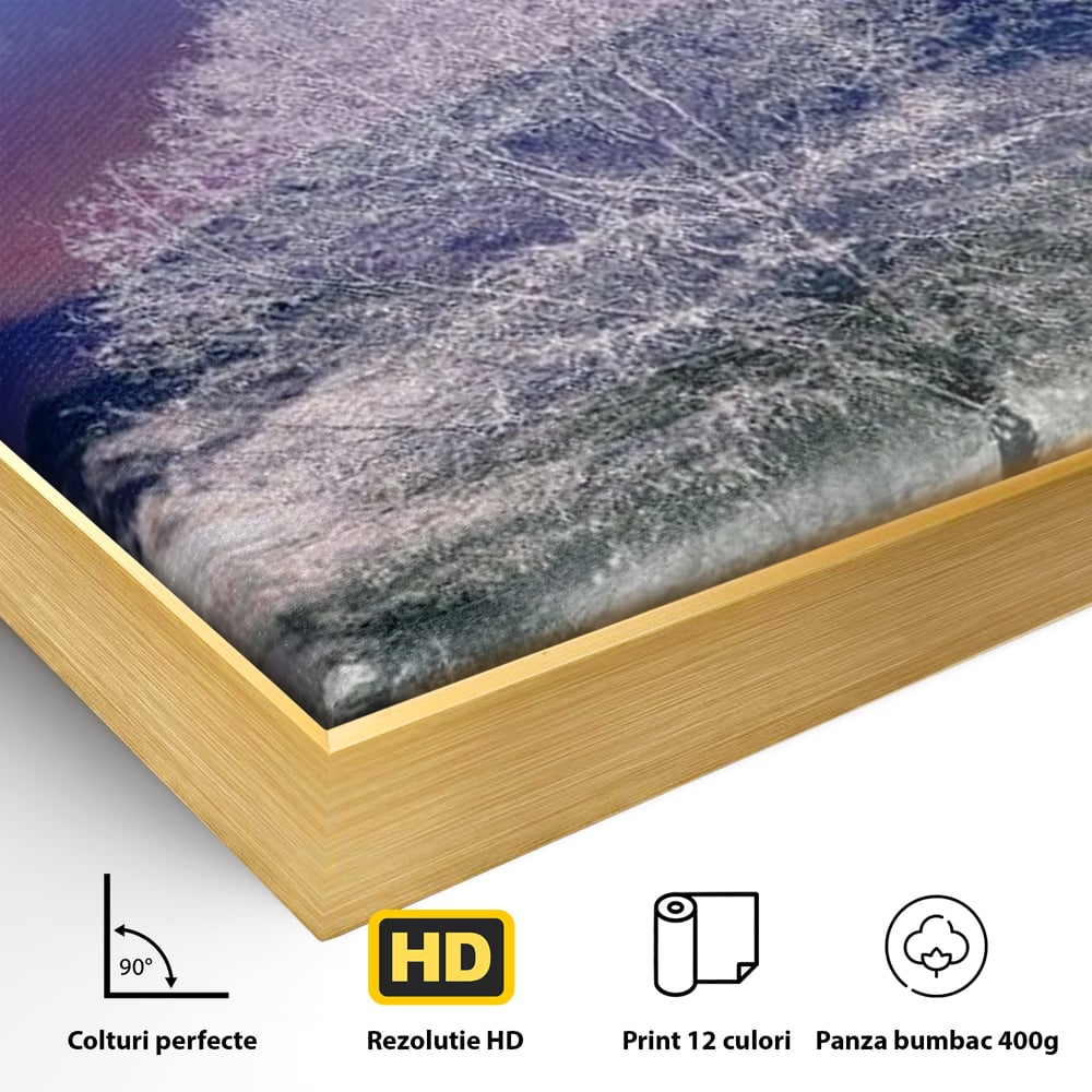 Detaliu al suprafetei: tablou canvas cu peisaj de iarna, in rama de aluminiu auriu