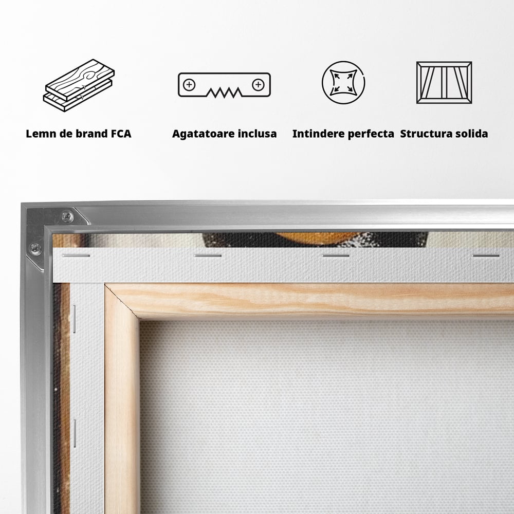 Spatele produsului, cu sasiu din lemn, capse metalice si agatatoare