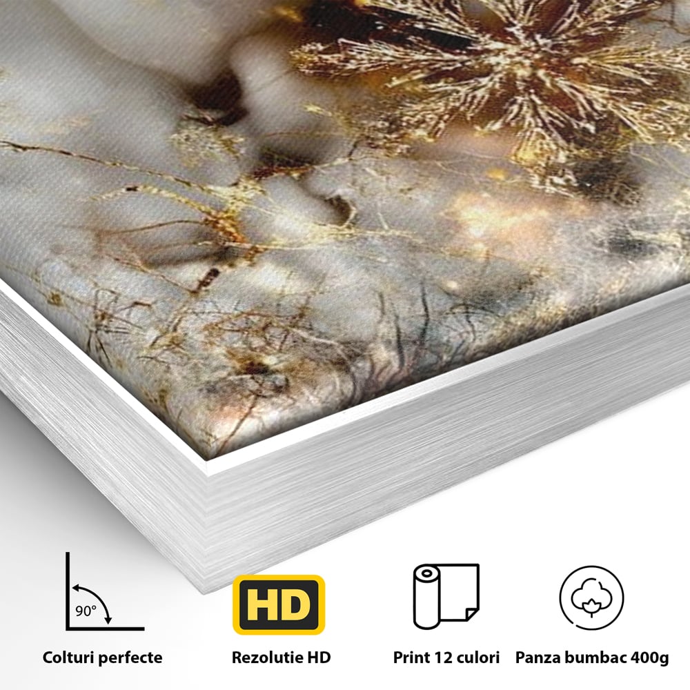 Detaliu al suprafetei: tablou canvas cu fulgi de zapada aurii, in rama de aluminiu argintiu