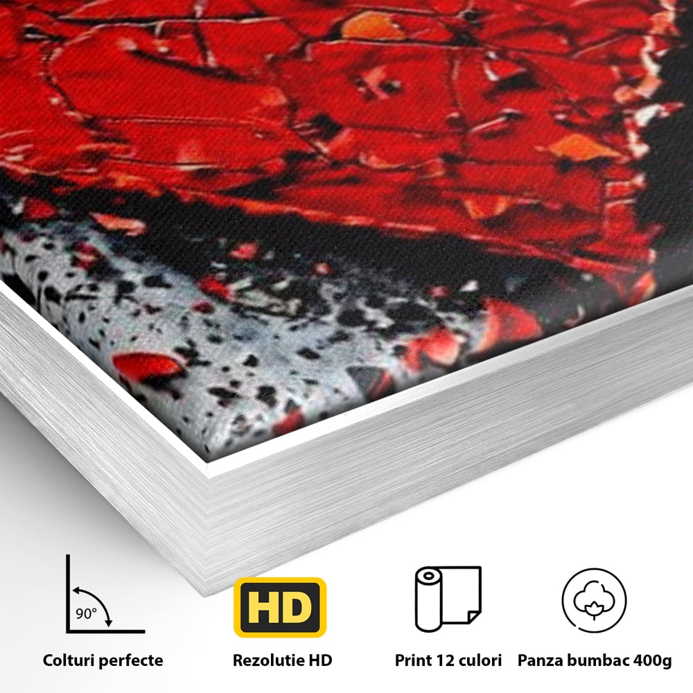 Detaliu al suprafetei: tablou canvas cu o inima rosie crapata, in rama de aluminiu argintiu