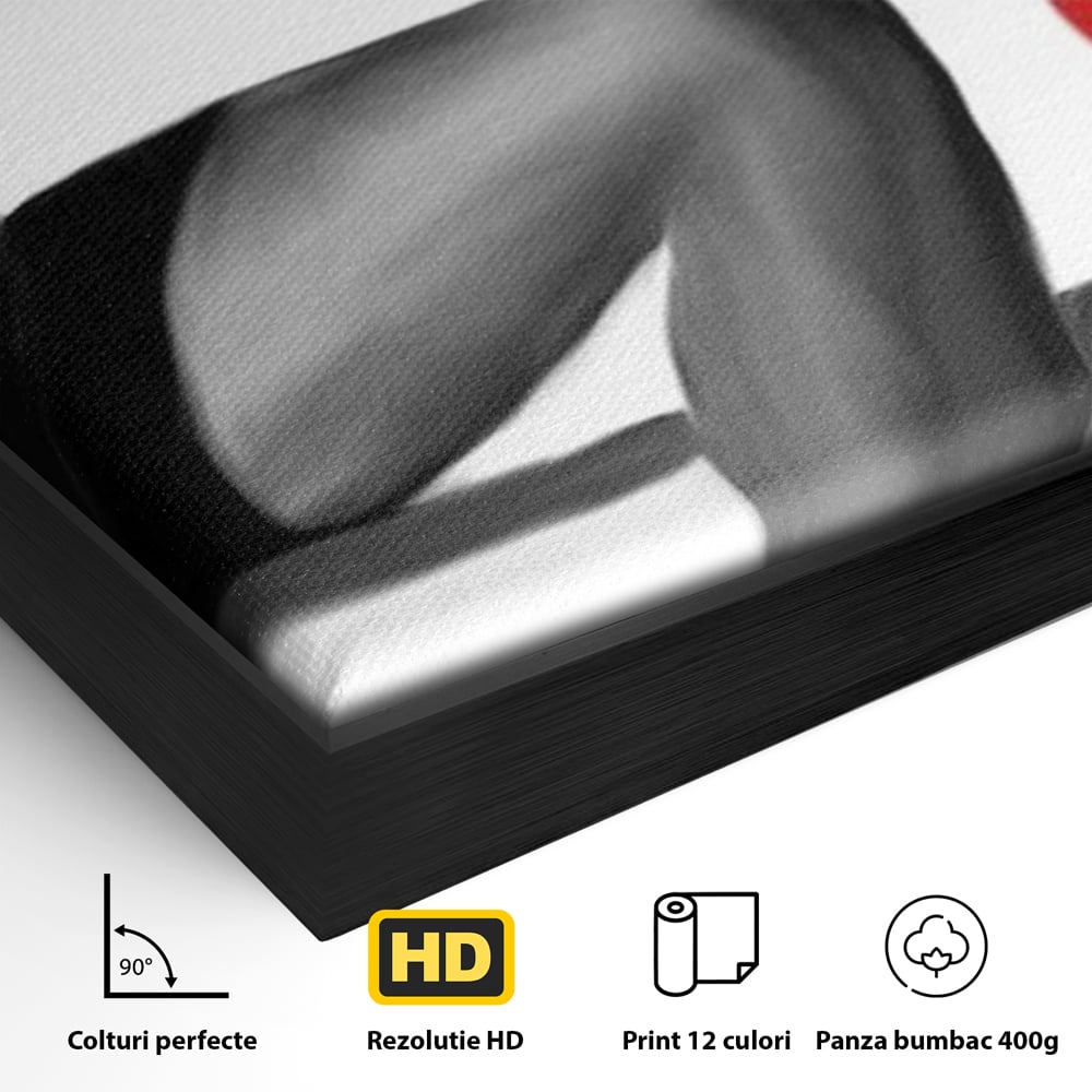 Detaliu al suprafetei: illustratie alb negru cu picioare si pantof rosu, in rama de aluminiu negru