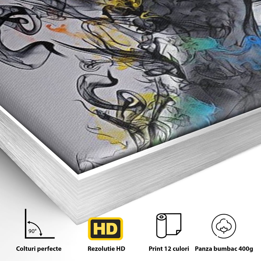 Detaliu al suprafetei: tablou canvas cu silueta feminina si fum, in rama de aluminiu argintiu