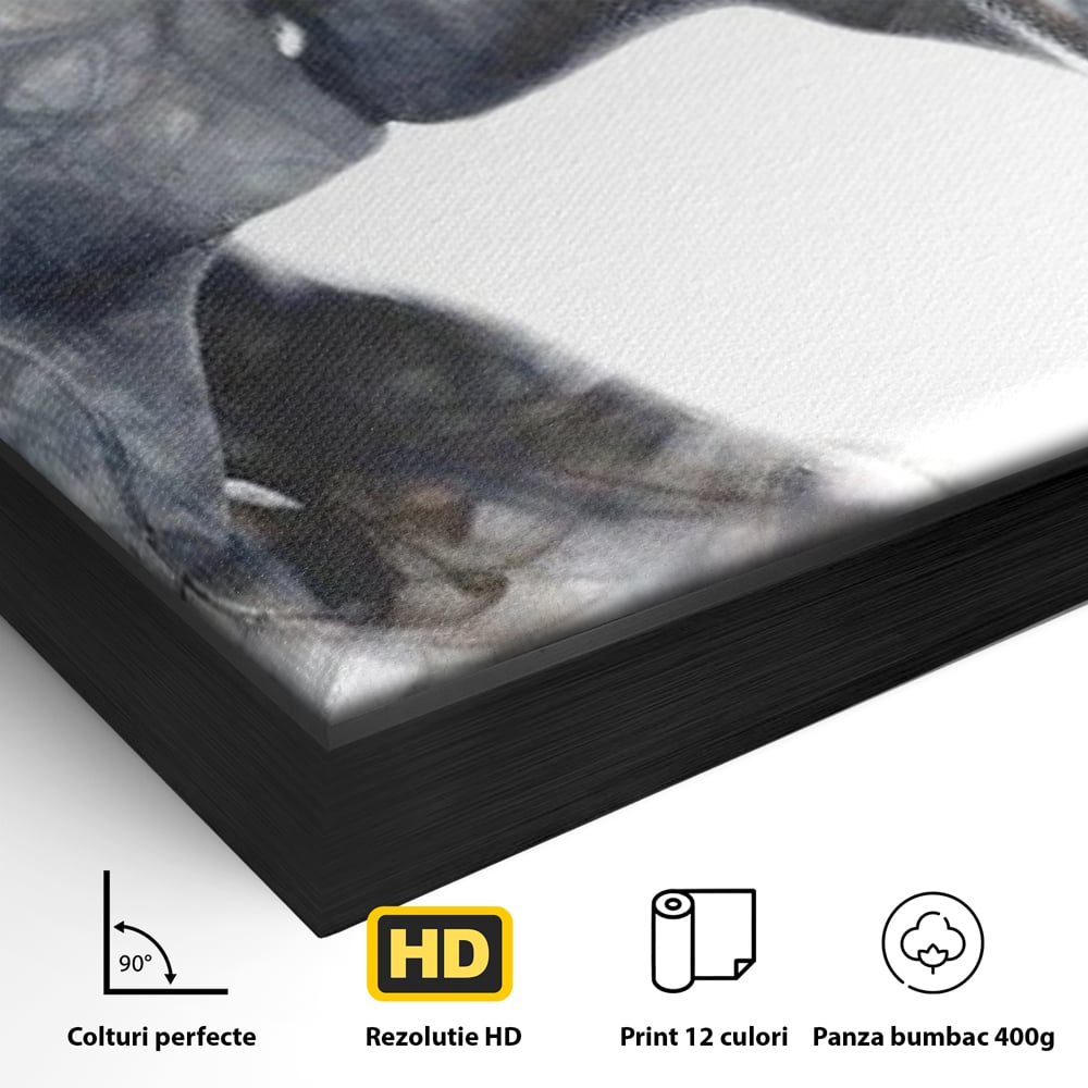 Detaliu al suprafetei: tablou canvas cu siluete in fum, in rama de aluminiu negru