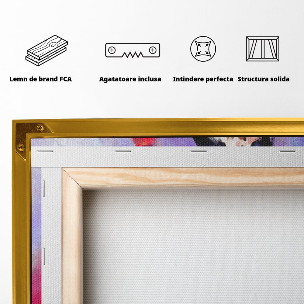 Spatele produsului, cu sasiu din lemn, capse metalice si agatatoare