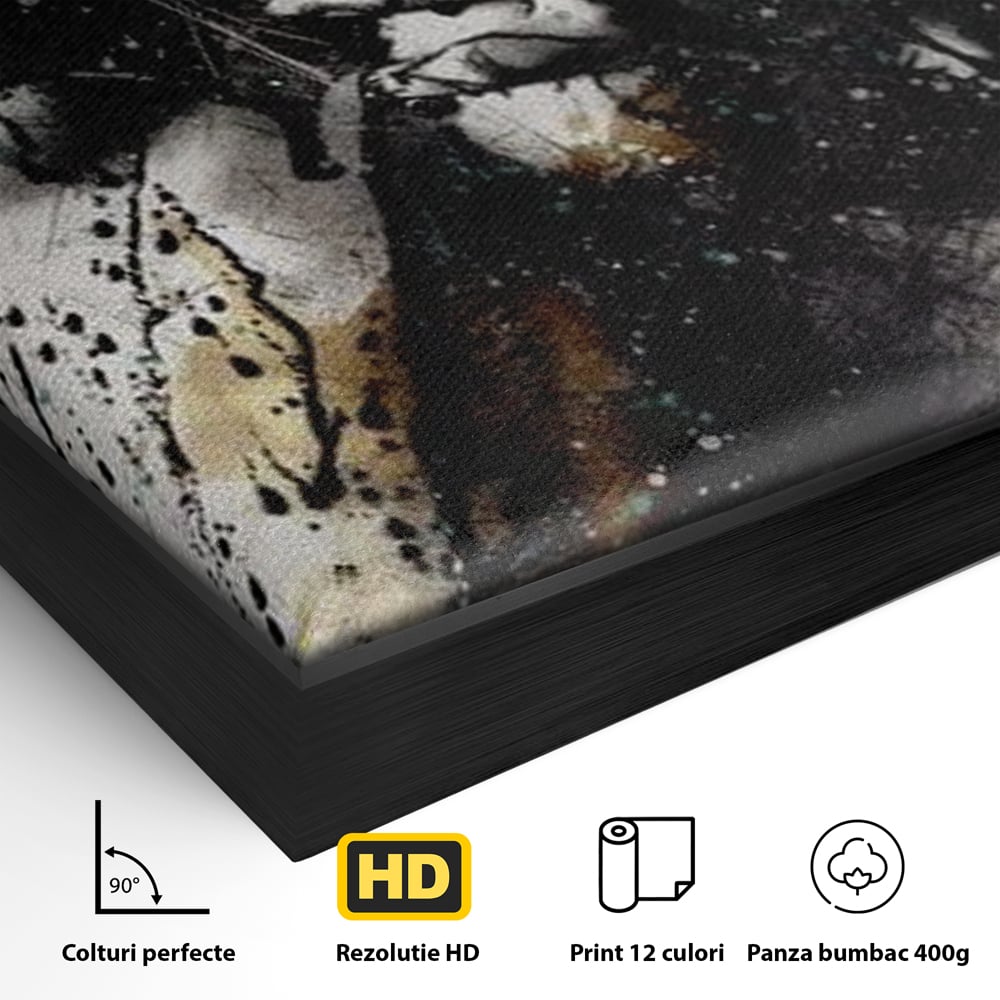 Detaliu al suprafetei: tablou canvas cu silueta feminina si culori abstracte, in rama de aluminiu negru