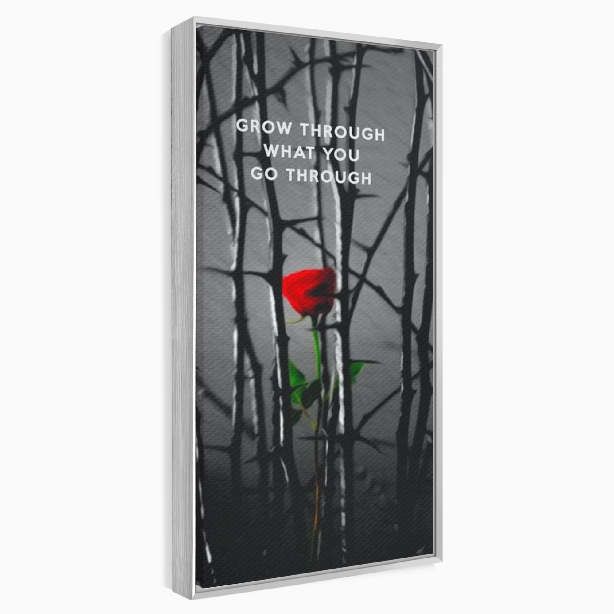 Tablou canvas cu tablou motivational cu trandafir rosu si spini, in rama de aluminiu argintiu