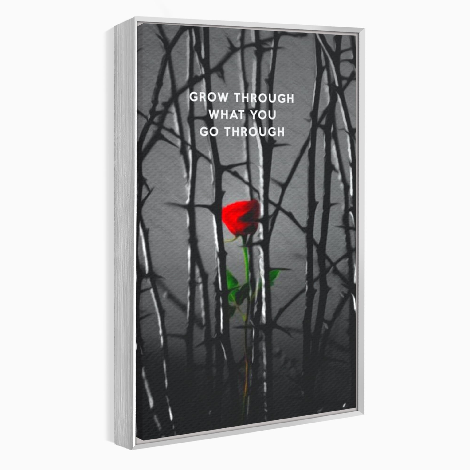 Tablou canvas cu tablou motivational cu trandafir rosu si spini, in rama de aluminiu argintiu