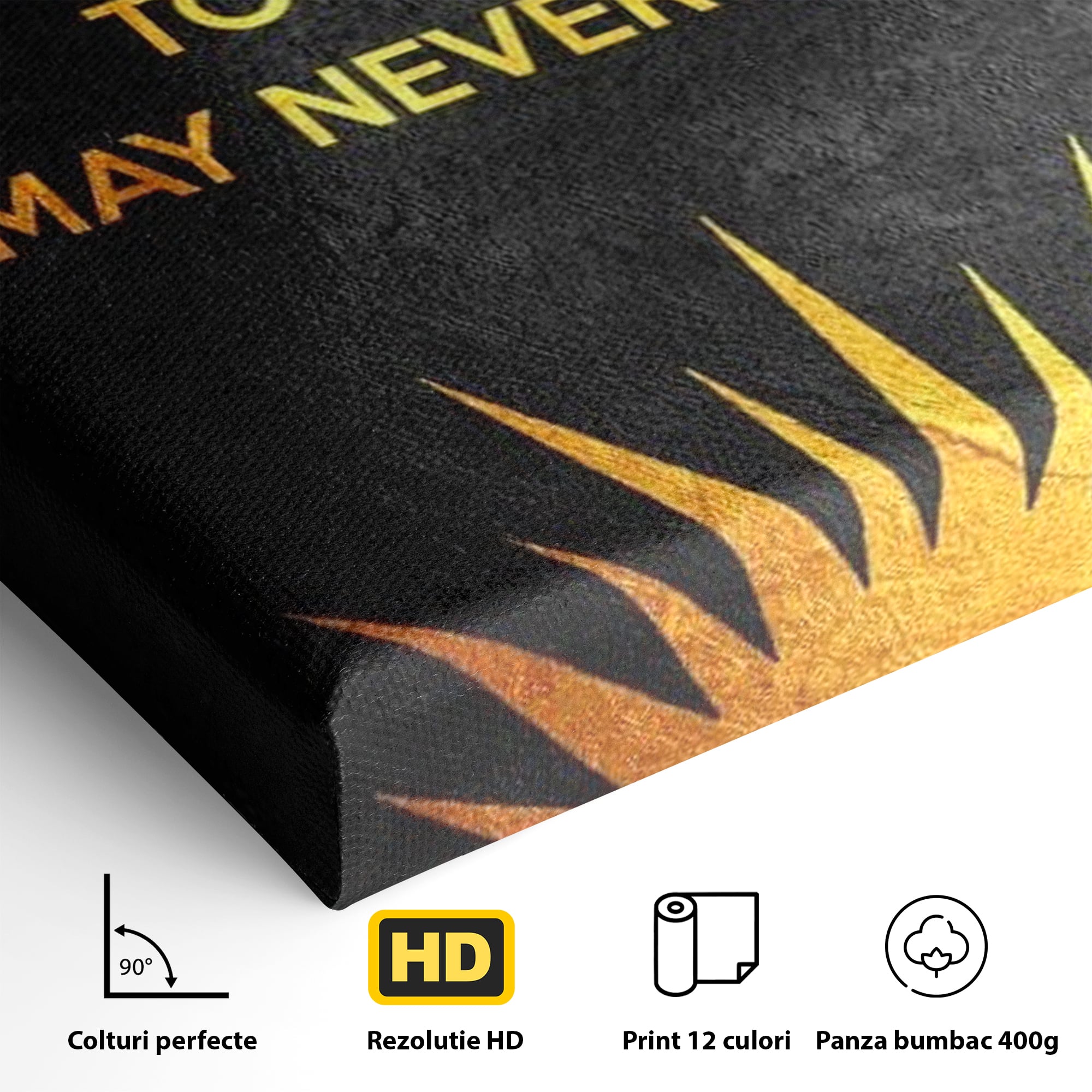 Detaliu al suprafetei: tablou canvas motiv motivational negru si auriu, fara rama, pe sasiu de lemn