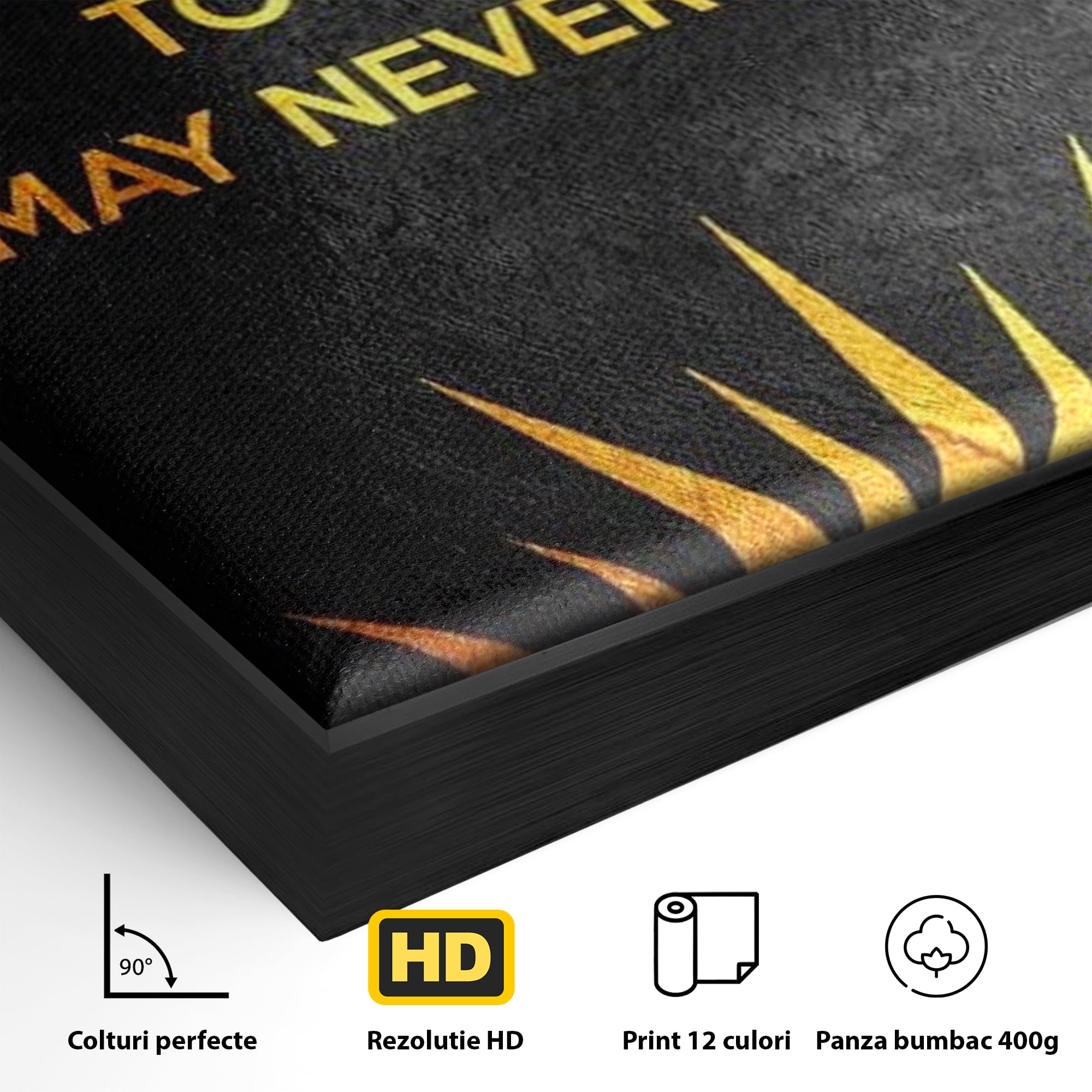 Detaliu al suprafetei: tablou canvas motiv motivational negru si auriu, in rama de aluminiu negru