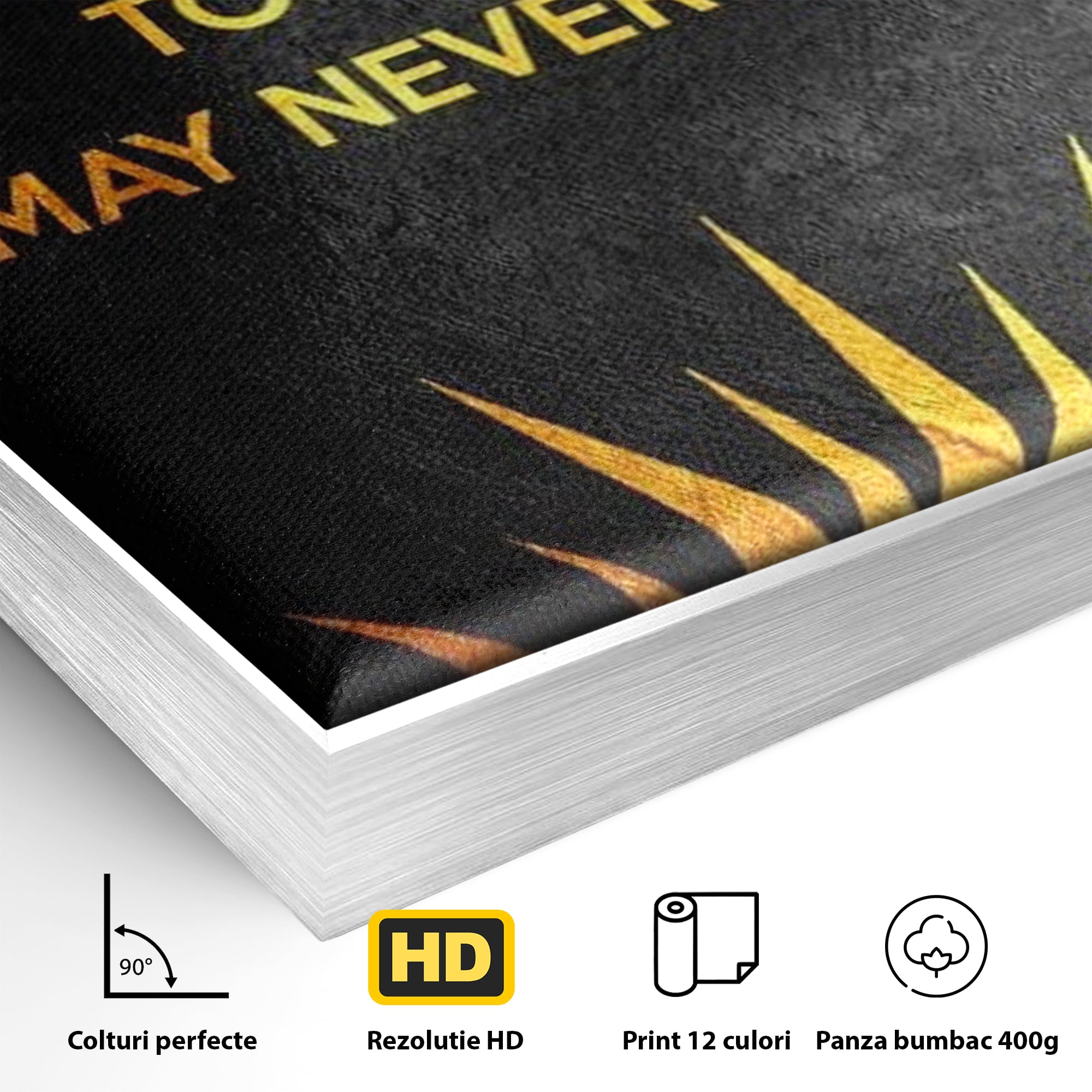 Detaliu al suprafetei: tablou canvas motiv motivational negru si auriu, in rama de aluminiu argintiu