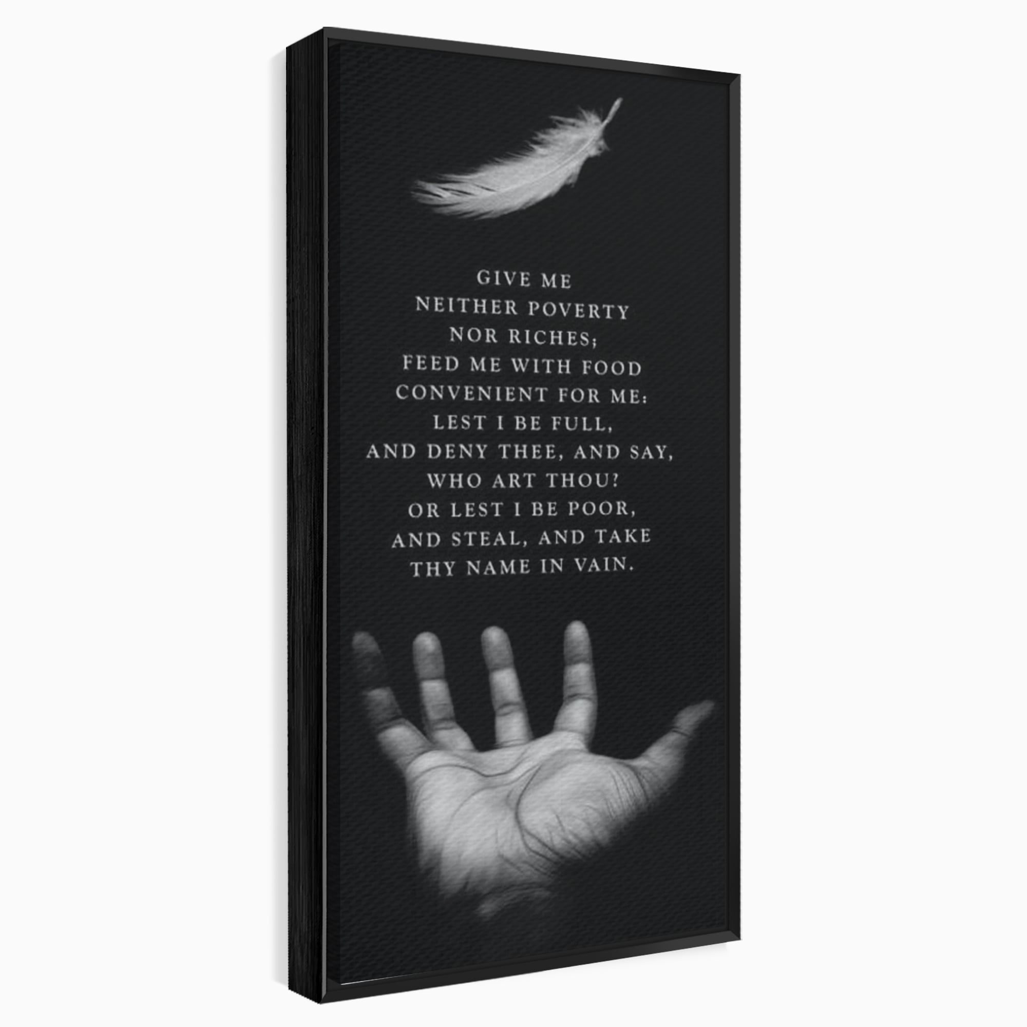 Tablou canvas cu tablou canvas cu pana si palma, in rama de aluminiu negru