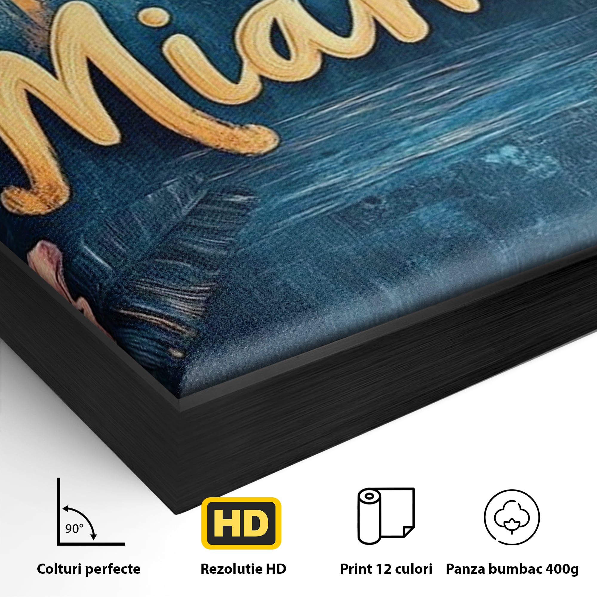 Detaliu al suprafetei: tablou canvas cu peisaj urban miami, in rama de aluminiu negru