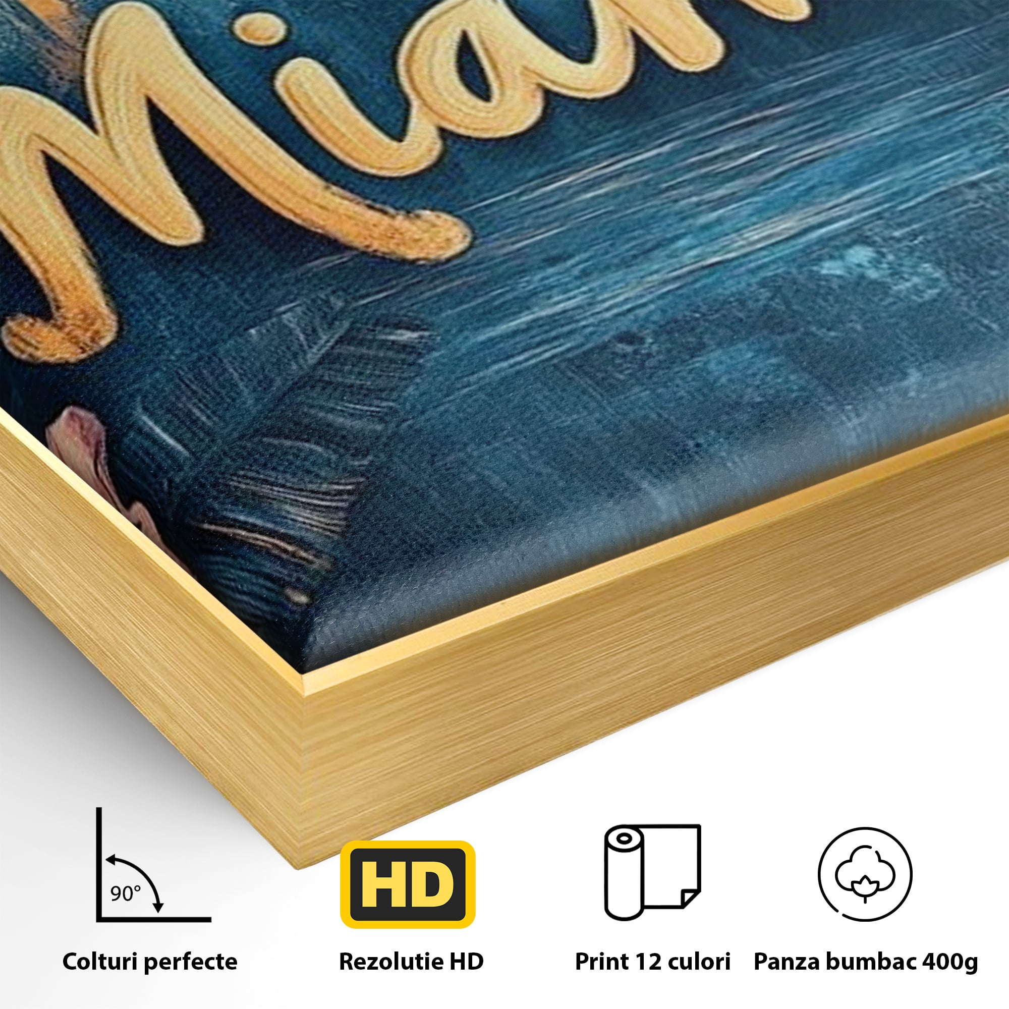 Detaliu al suprafetei: tablou canvas cu peisaj urban miami, in rama de aluminiu auriu