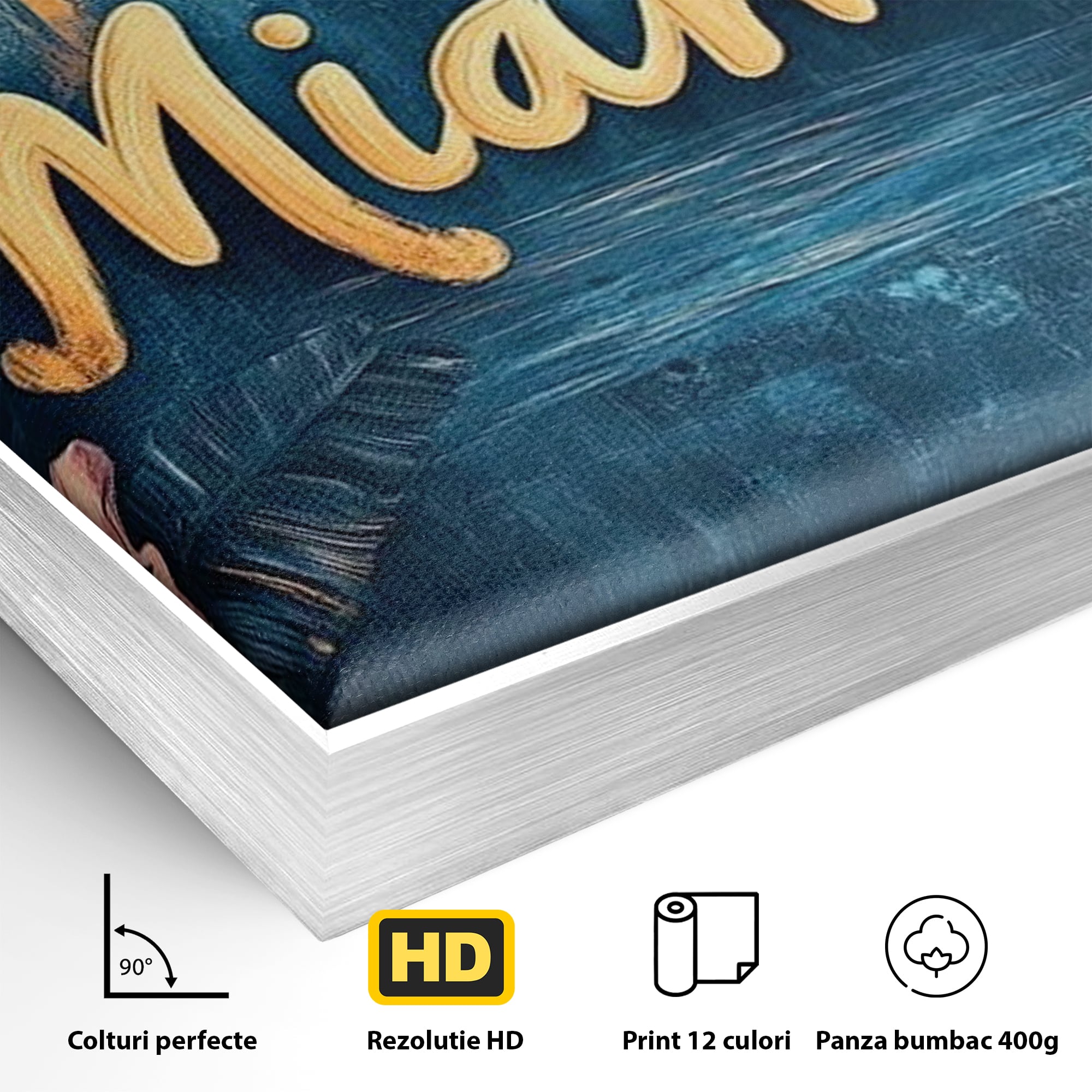 Detaliu al suprafetei: tablou canvas cu peisaj urban miami, in rama de aluminiu argintiu