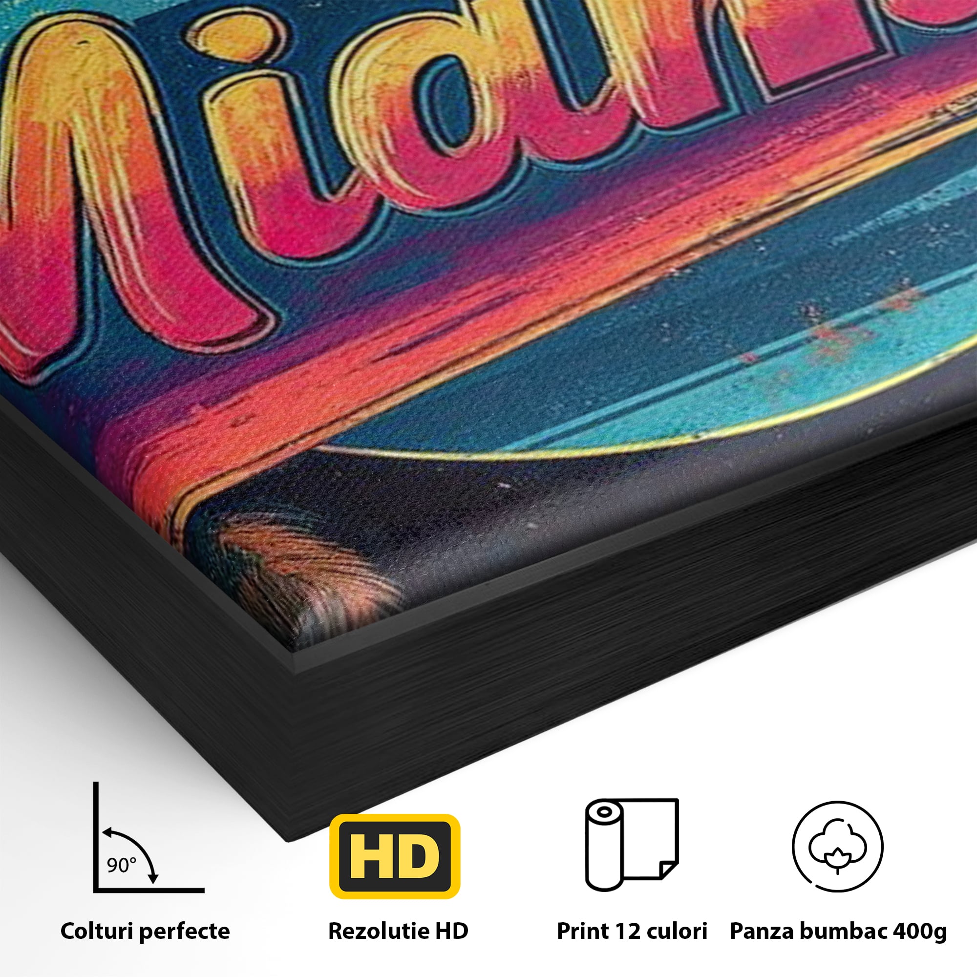 Detaliu al suprafetei: ilustratie retro miami cu soare si palmieri, in rama de aluminiu negru