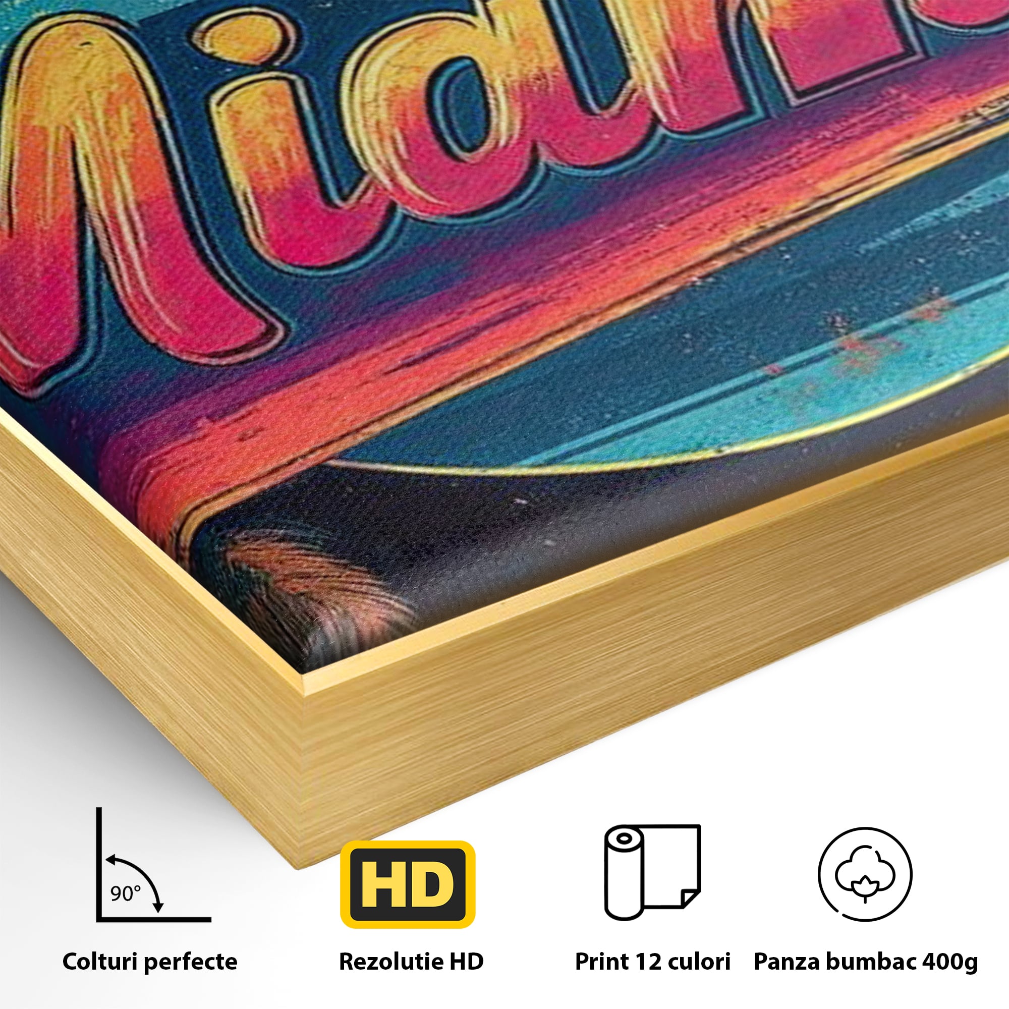 Detaliu al suprafetei: ilustratie retro miami cu soare si palmieri, in rama de aluminiu auriu