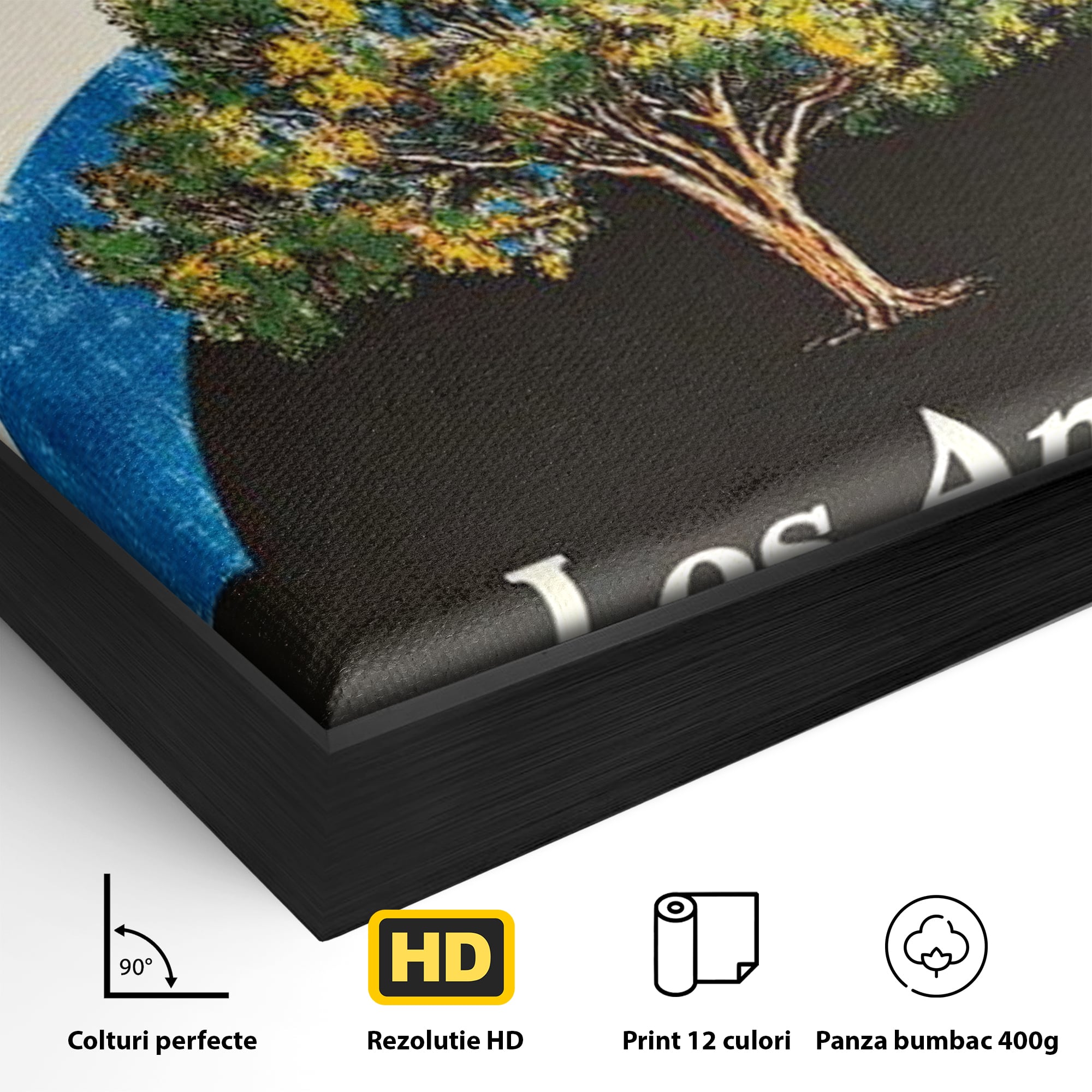 Detaliu al suprafetei: tablou canvas cu curcubeu si copac, in rama de aluminiu negru