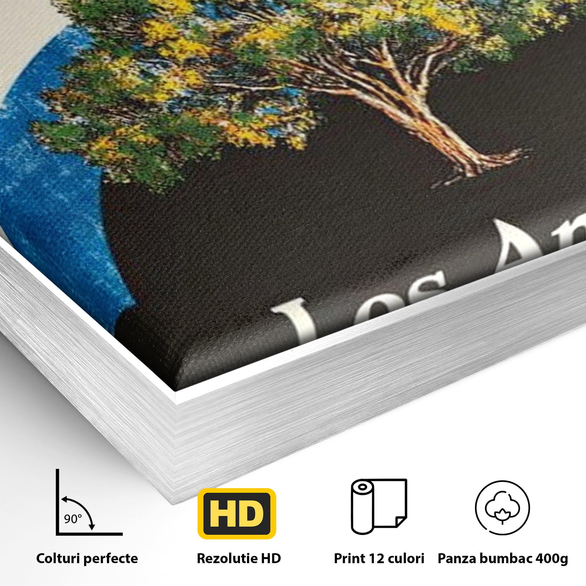 Detaliu al suprafetei: tablou canvas cu curcubeu si copac, in rama de aluminiu argintiu