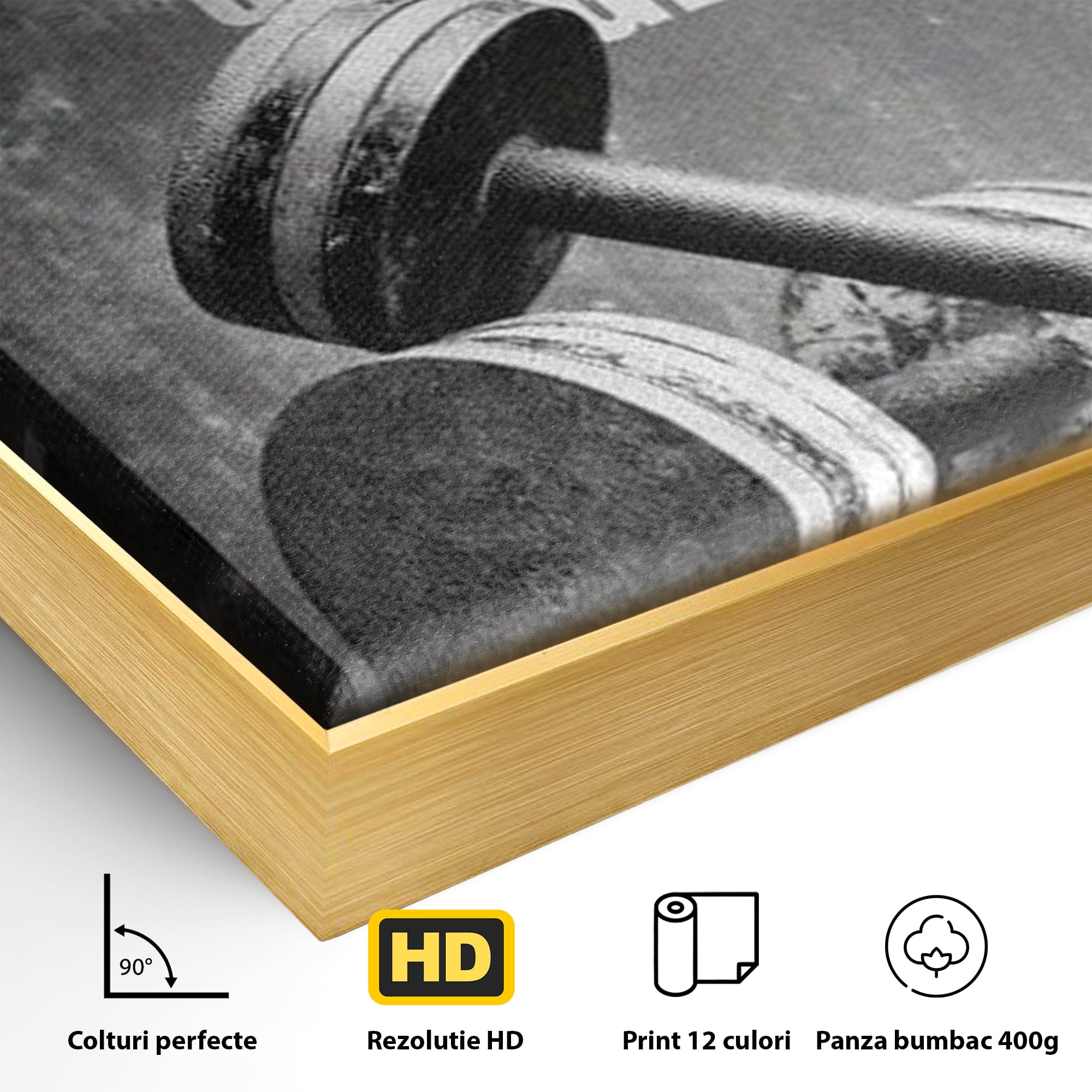 Detaliu al suprafetei: tablou motivational cu gantere si text, in rama de aluminiu auriu