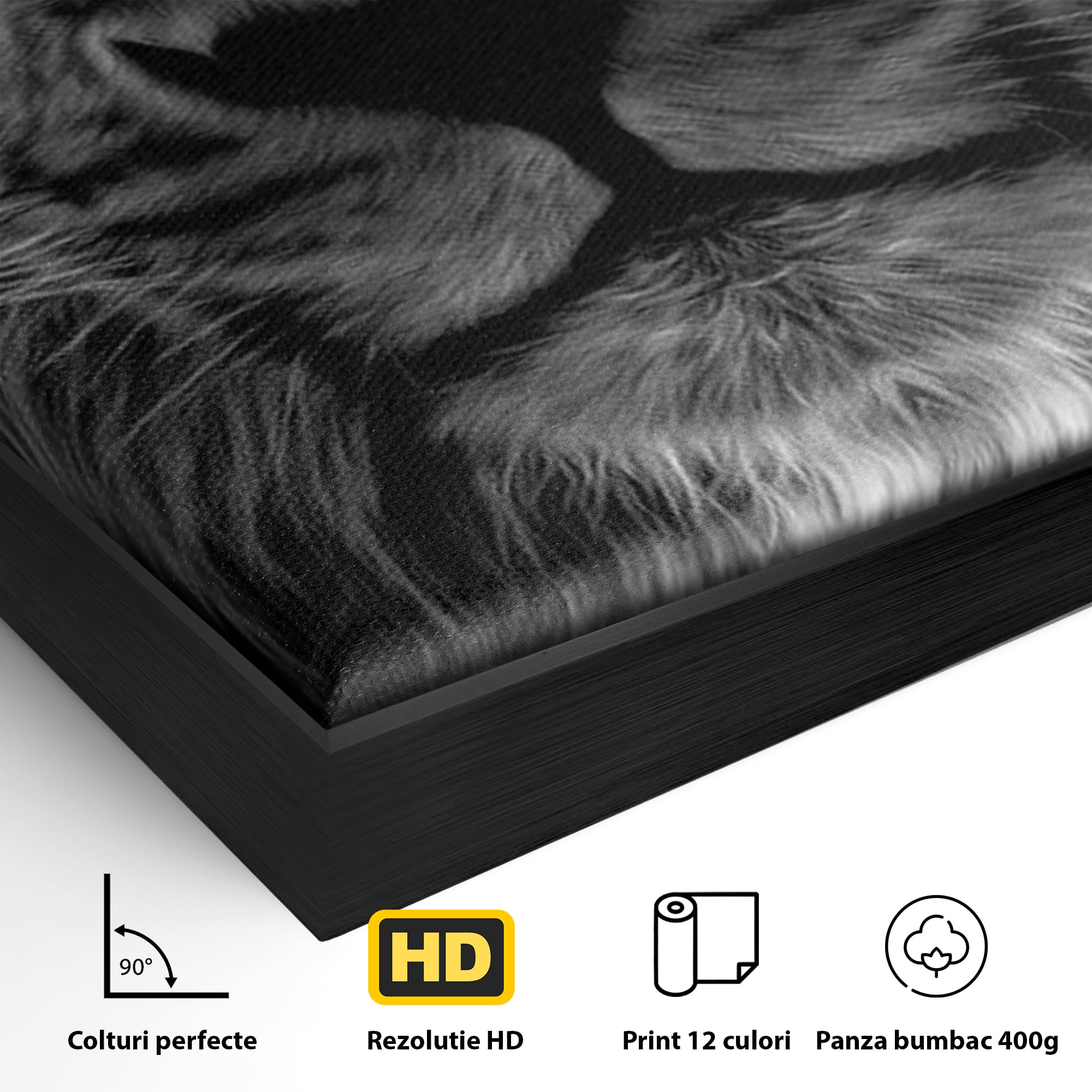 Detaliu al suprafetei: tablou canvas cu leu alb-negru, in rama de aluminiu negru