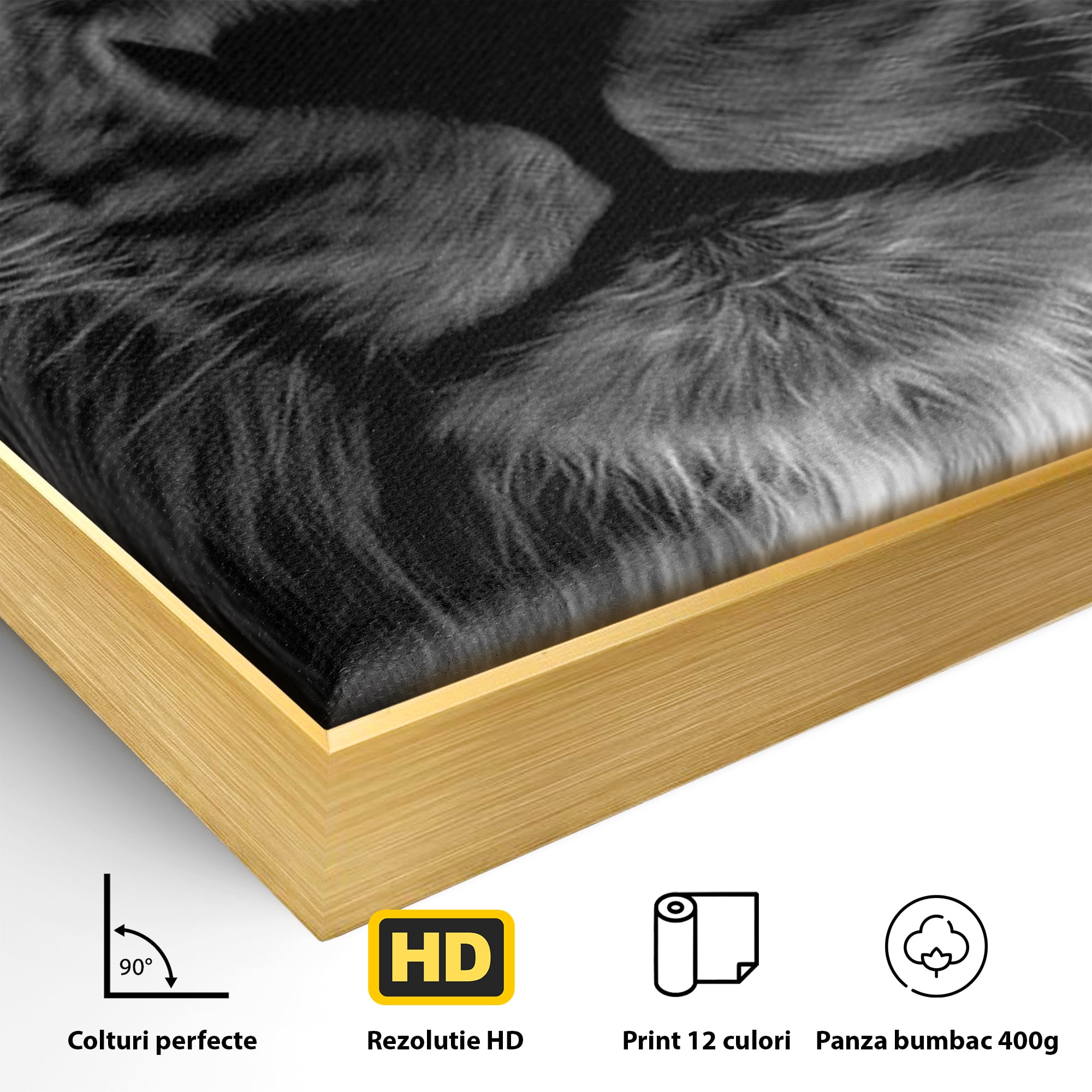 Detaliu al suprafetei: tablou canvas cu leu alb-negru, in rama de aluminiu auriu